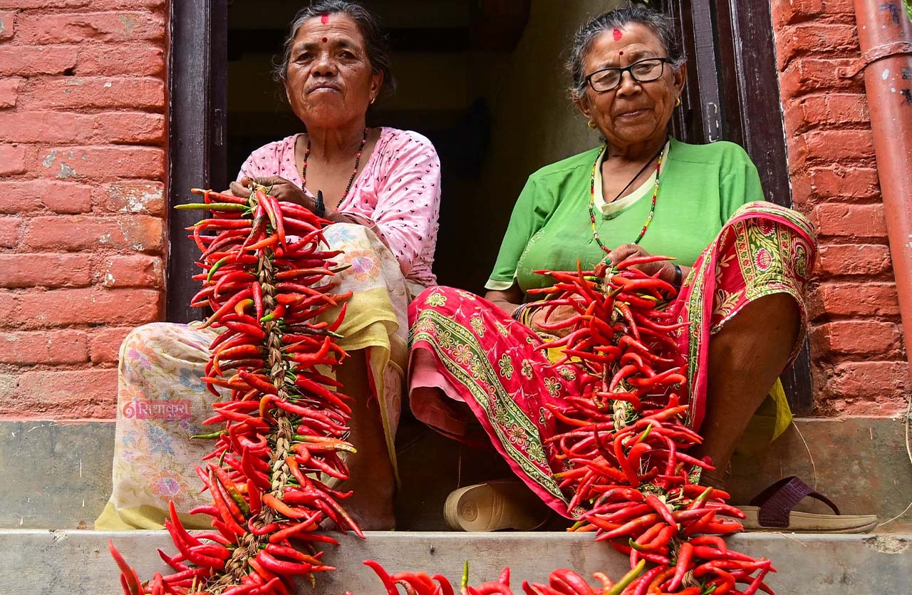 Khokana-Red-chilli_Sidhakura14-1754546362.jpg