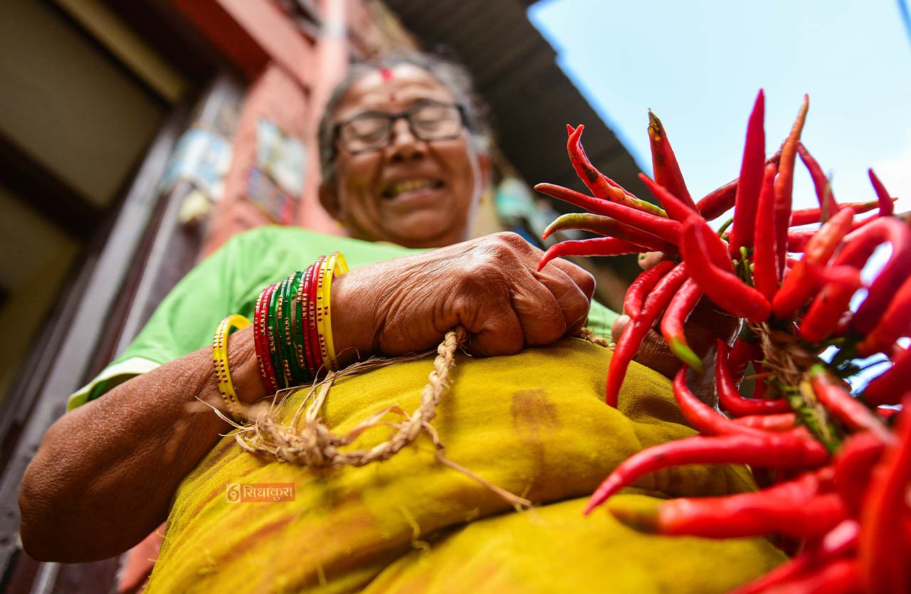 Khokana-Red-chilli_Sidhakura9-1754546361.jpg