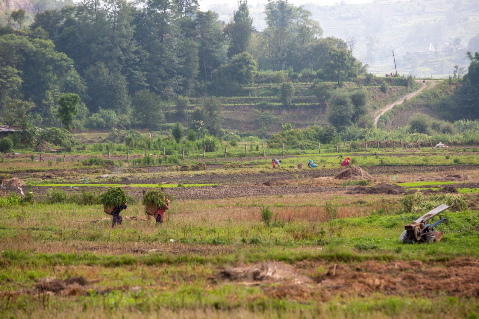 Kisan_sidhakura-(1)-1780805953.jpg