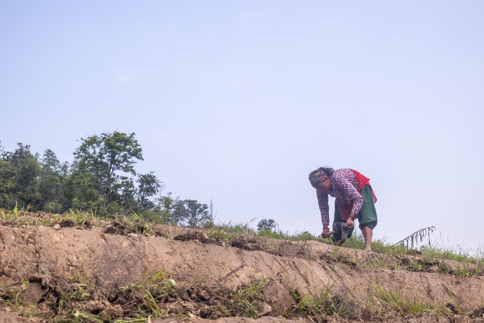 Kisan_sidhakura-(10)-1780805956.jpg