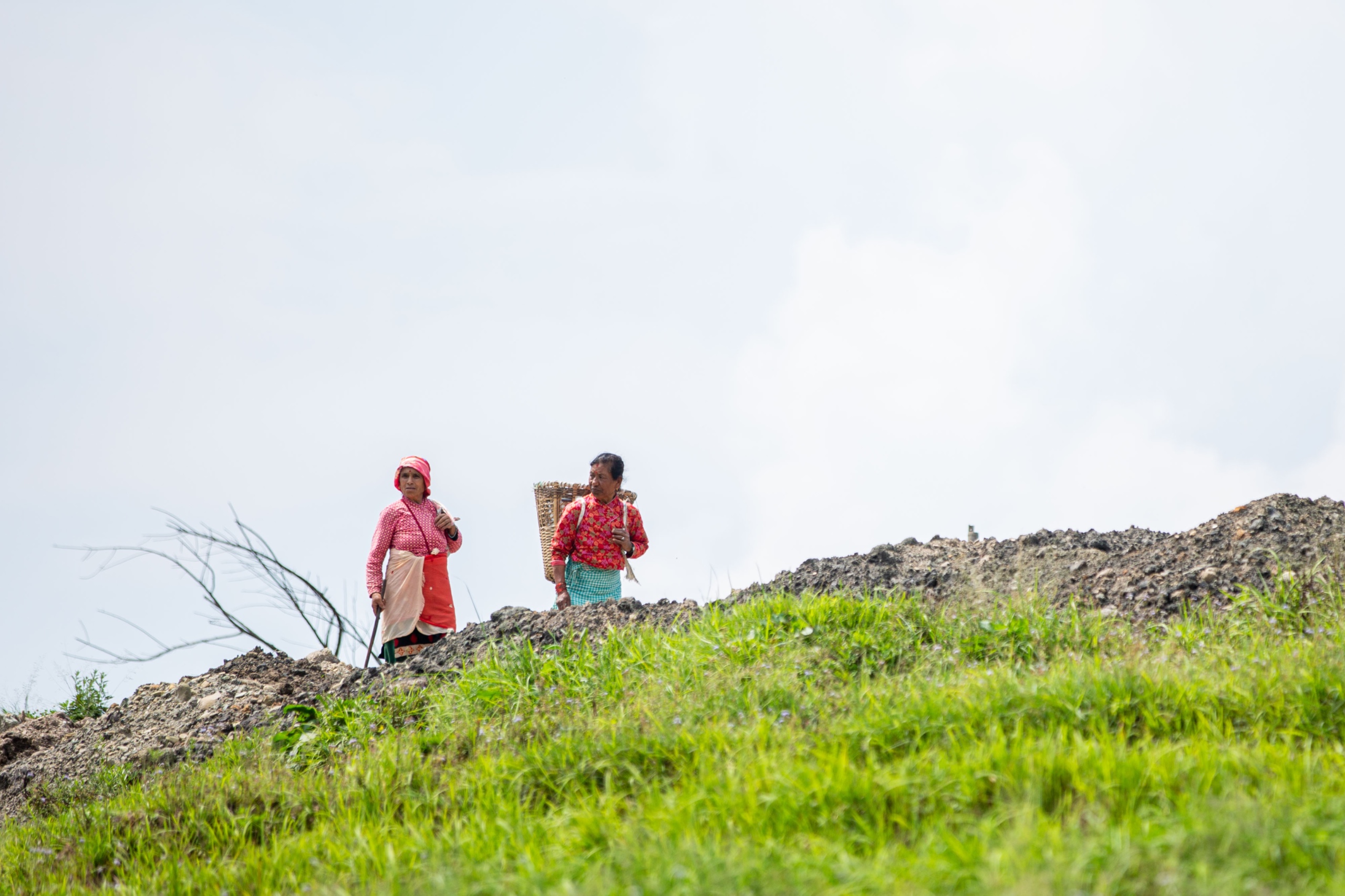 Kisan_sidhakura-(11)-1780805957.jpg