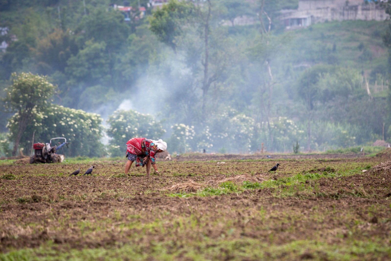 Kisan_sidhakura-(12)-1780805957.jpg