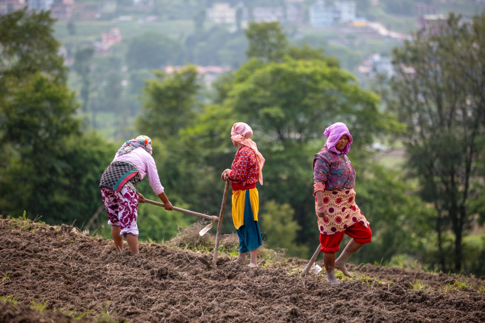 Kisan_sidhakura-(4)-1780805954.jpg