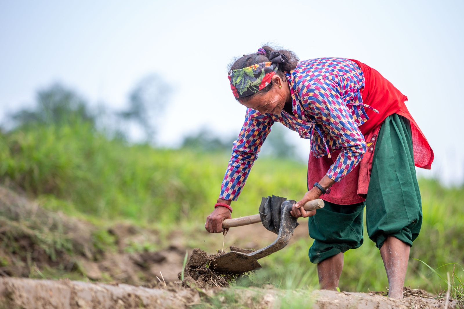 Kisan_sidhakura-(6)-1780805955.jpg
