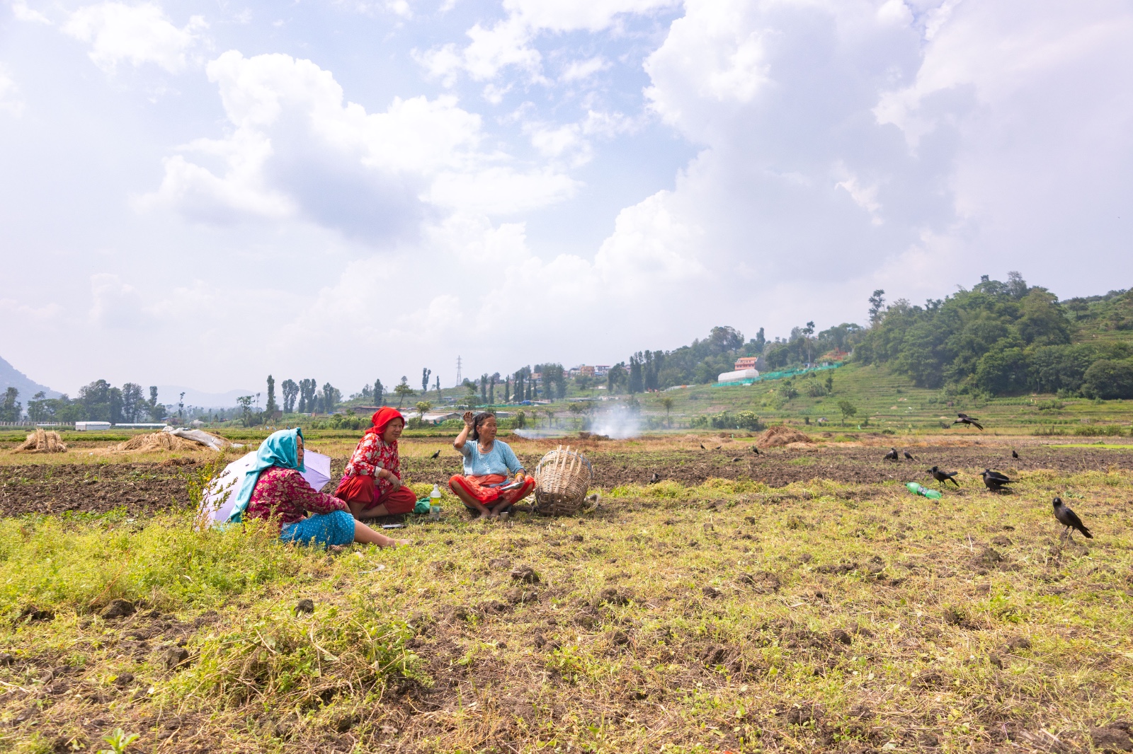 Kisan_sidhakura-(8)-1780805955.jpg