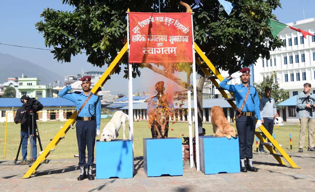 Kukur-Thiar_sidhakura-(11)-1760940104.jpeg