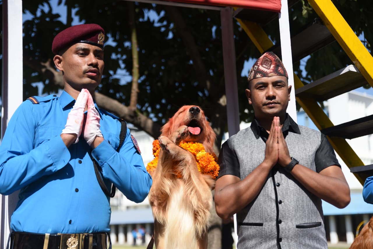 यस्ता छन् नेपाल प्रहरीका तालिम प्राप्त कुकुर (तस्विरहरु)