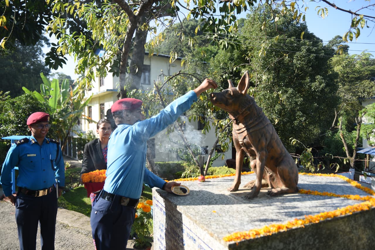 Kukur-Thiar_sidhakura-(4)-1760940097.jpeg