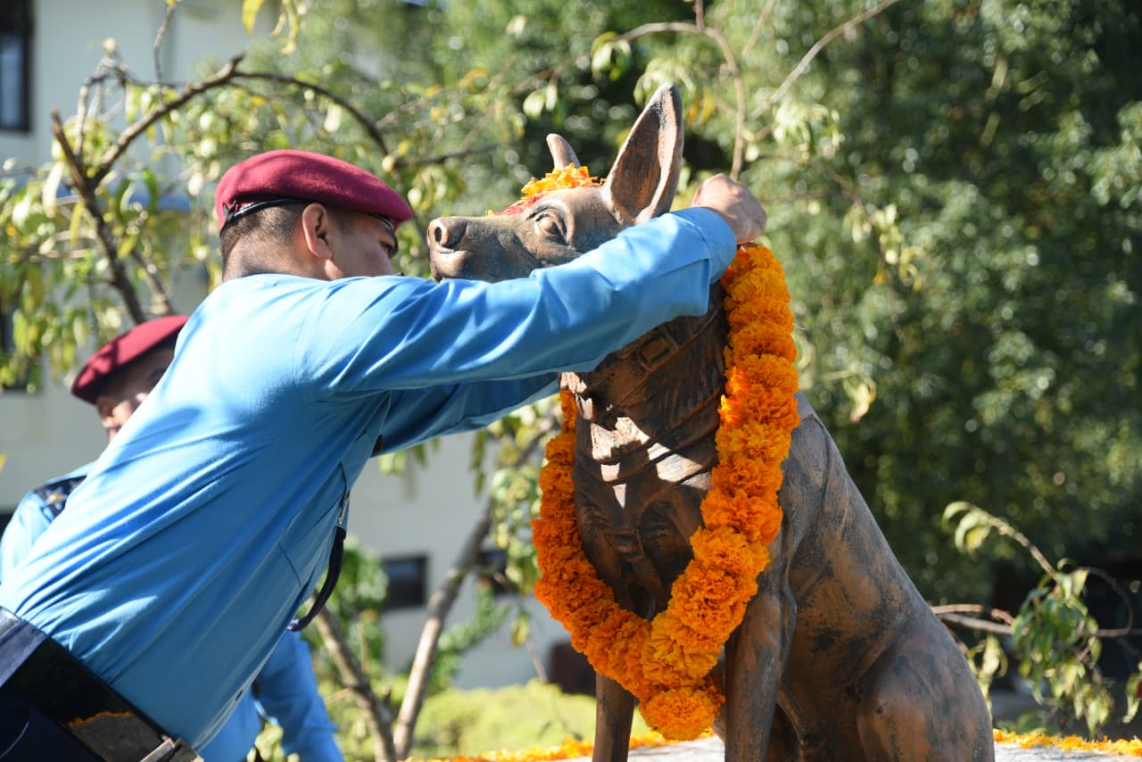 Kukur-Thiar_sidhakura-(8)-1760940101.jpeg