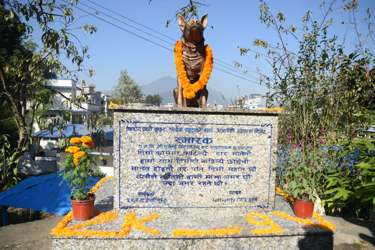 Kukur-Thiar_sidhakura-(9)-1760940102.jpeg