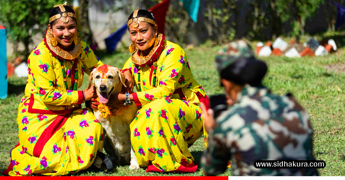 Kukur-Tihar-Sena_Sidhakura-9-1760940627.jpg