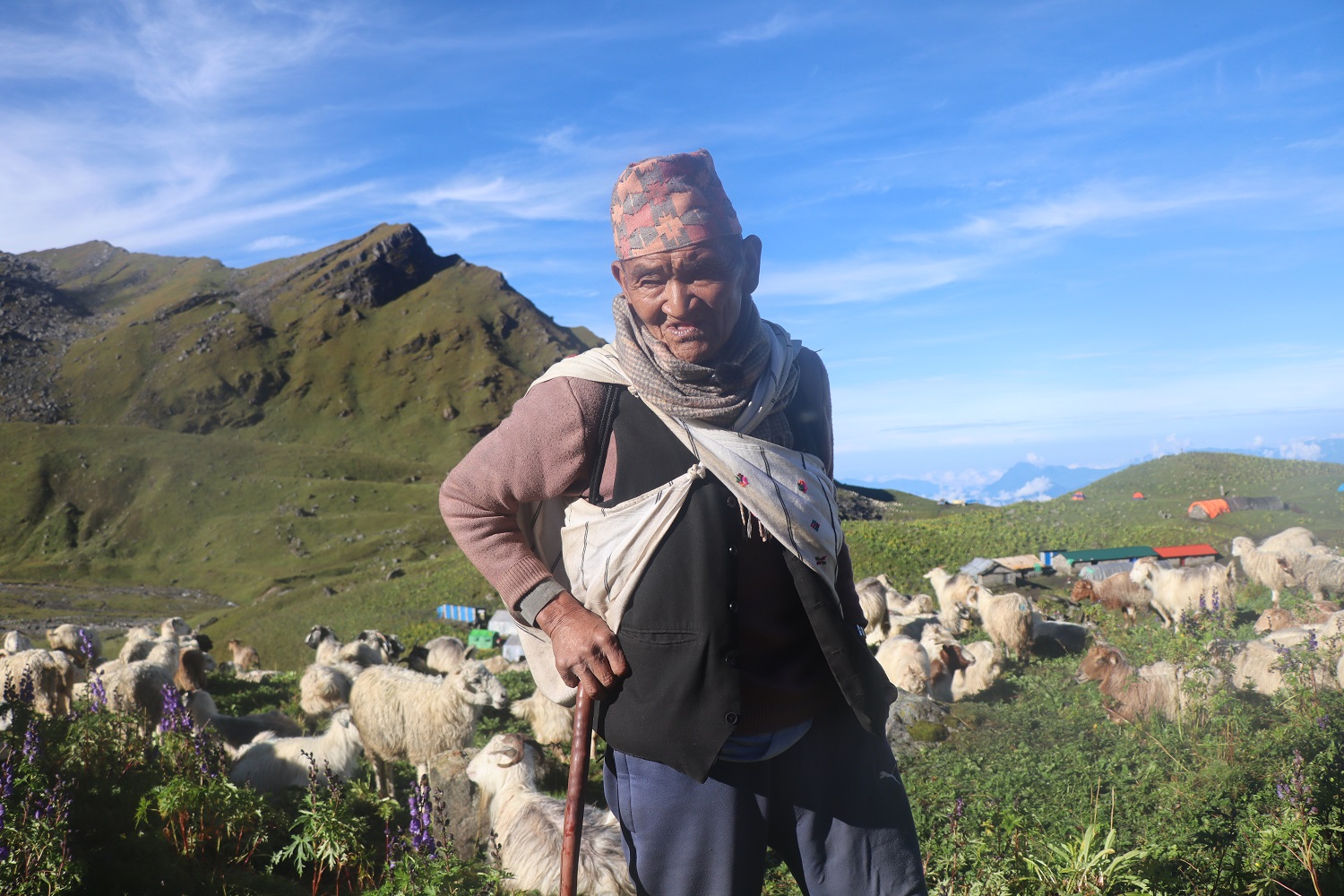भेडीगोठमा लालबिरका सात दशक