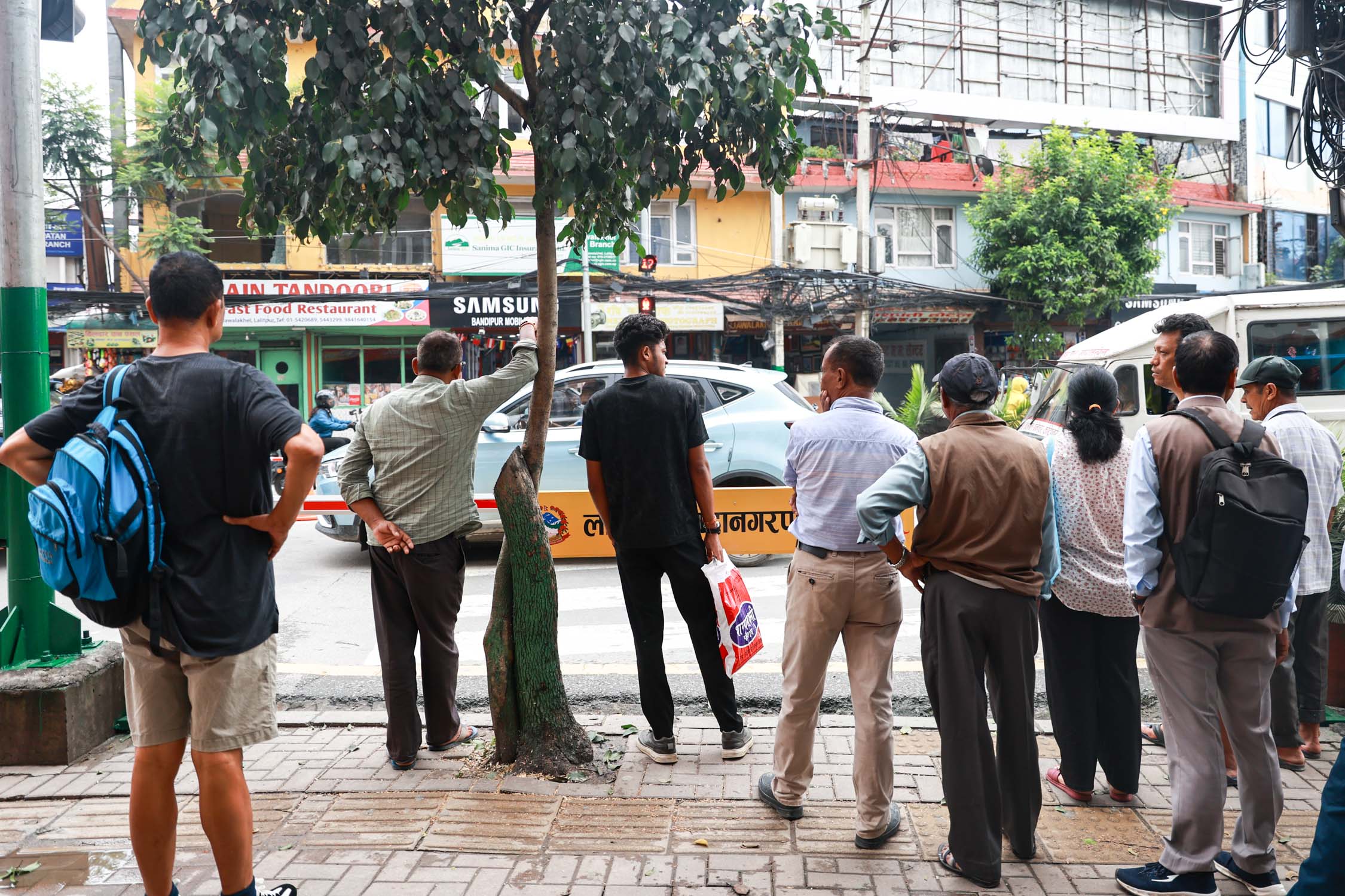 Lalitpur-road-cross-safety-barrier_Nepal-Photo-Library1-1784006854.jpg