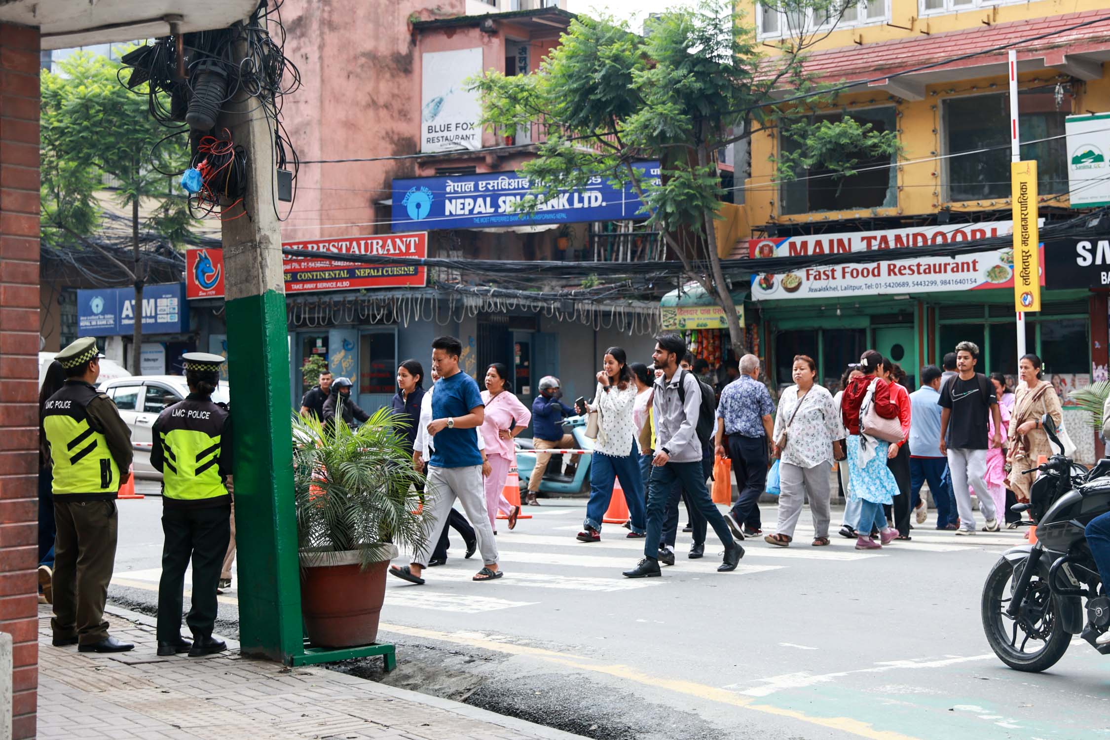 Lalitpur-road-cross-safety-barrier_Nepal-Photo-Library10-1784006857.jpg