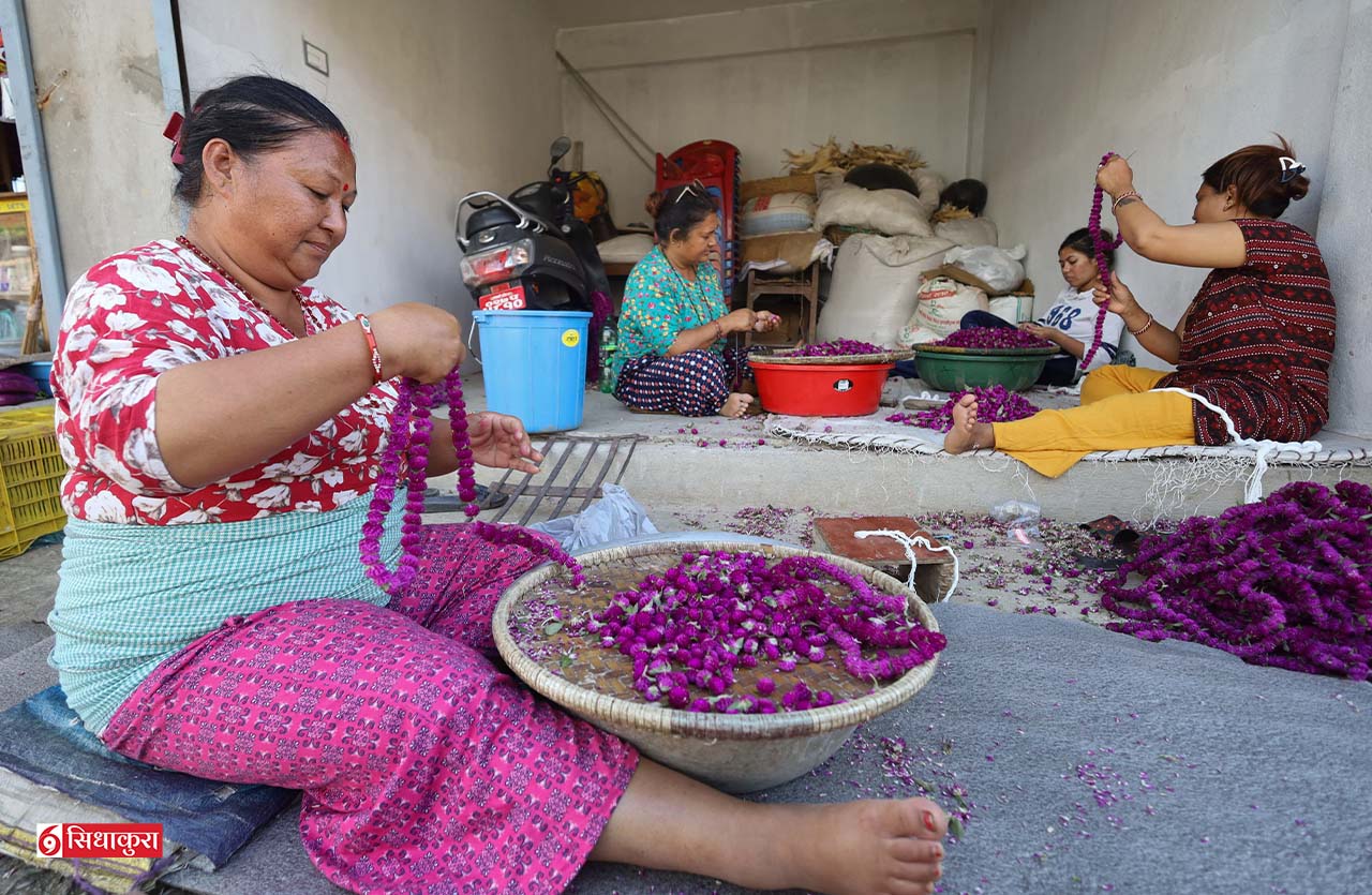 Makhamali-flower_Sidhakura2-1759991551.jpg