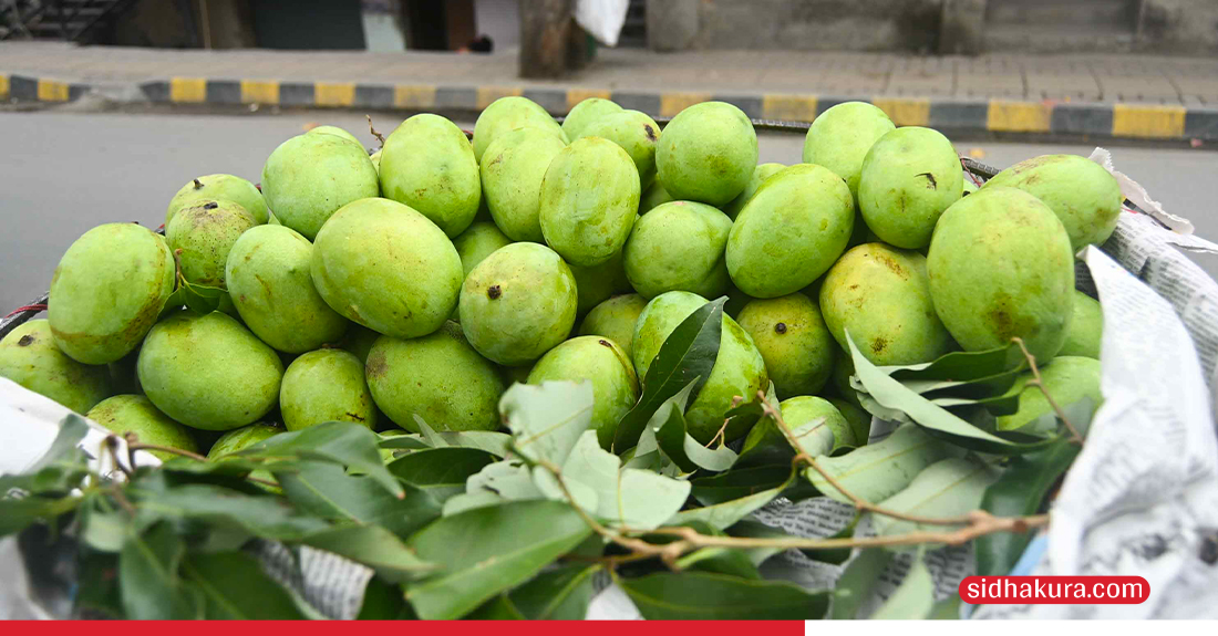 Mango-1-1749100296.jpg