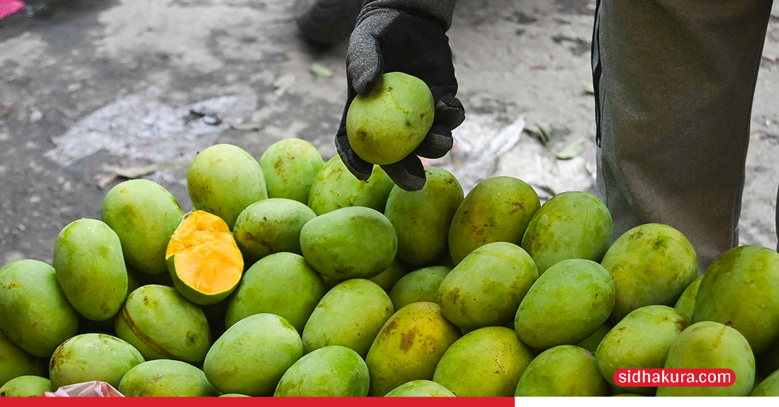 Mango-5-1749100298.jpg