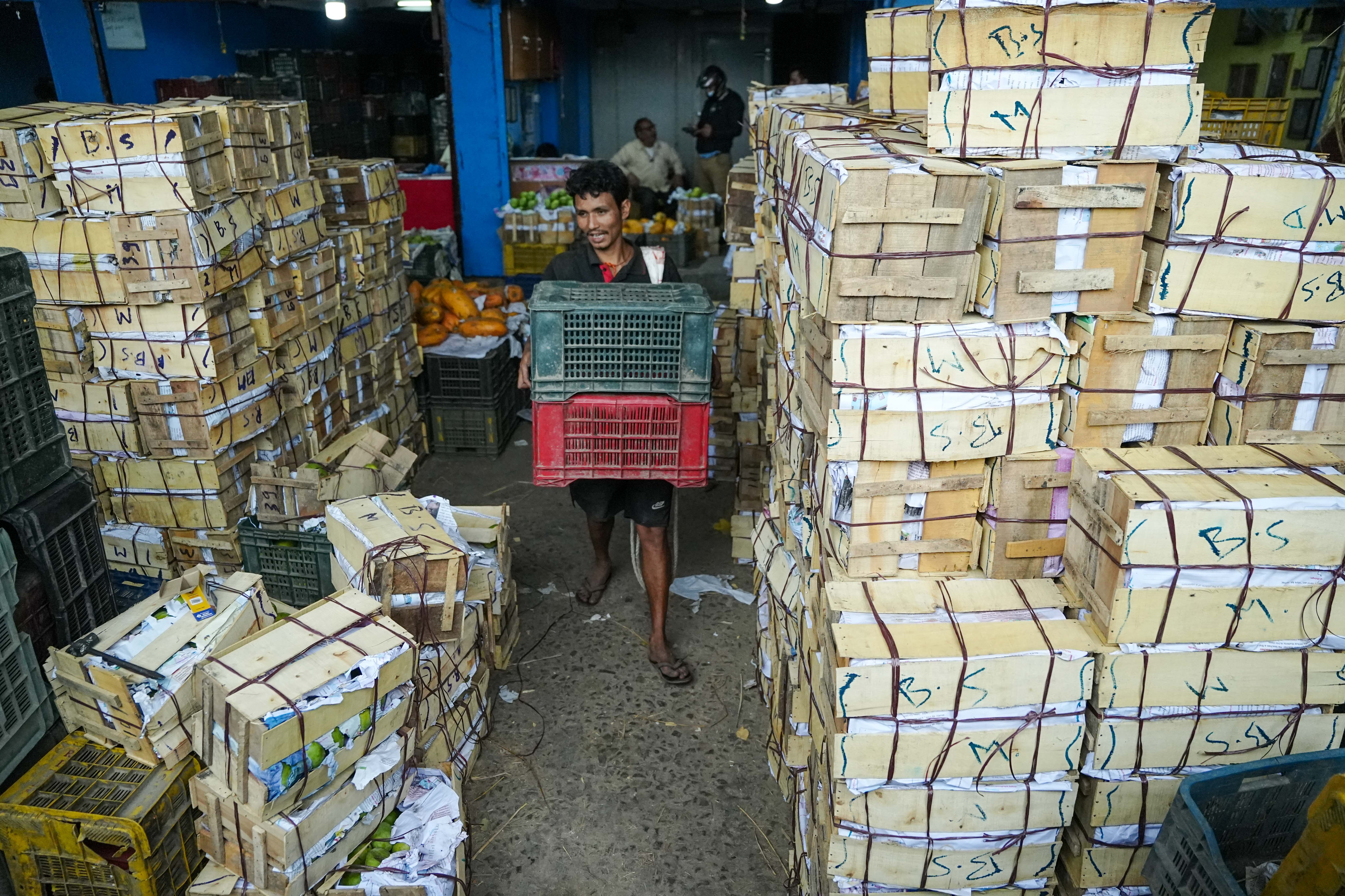 Mango_Sidhakura-1780644855.jpg
