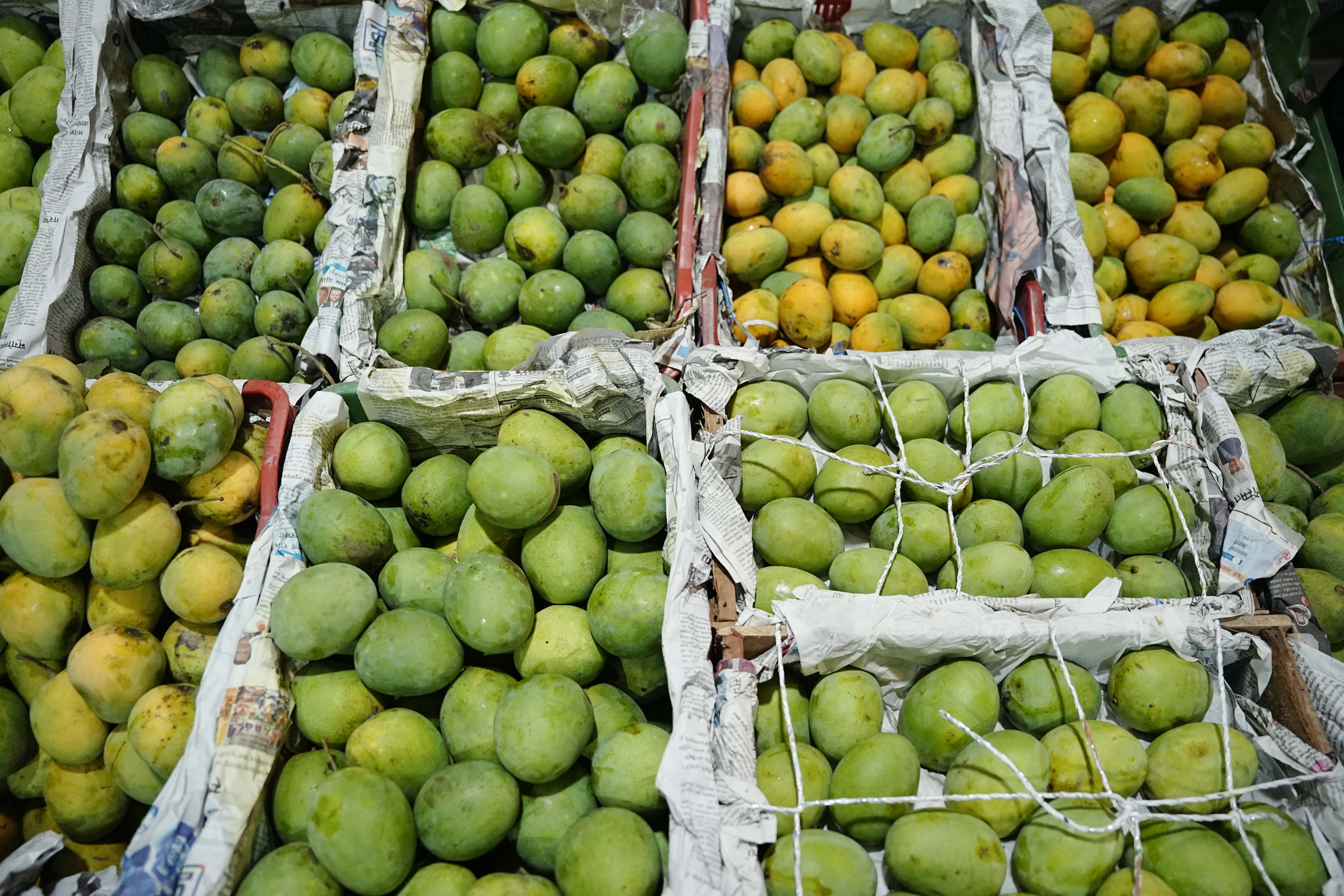 Mango_Sidhakura2-1780644862.jpg