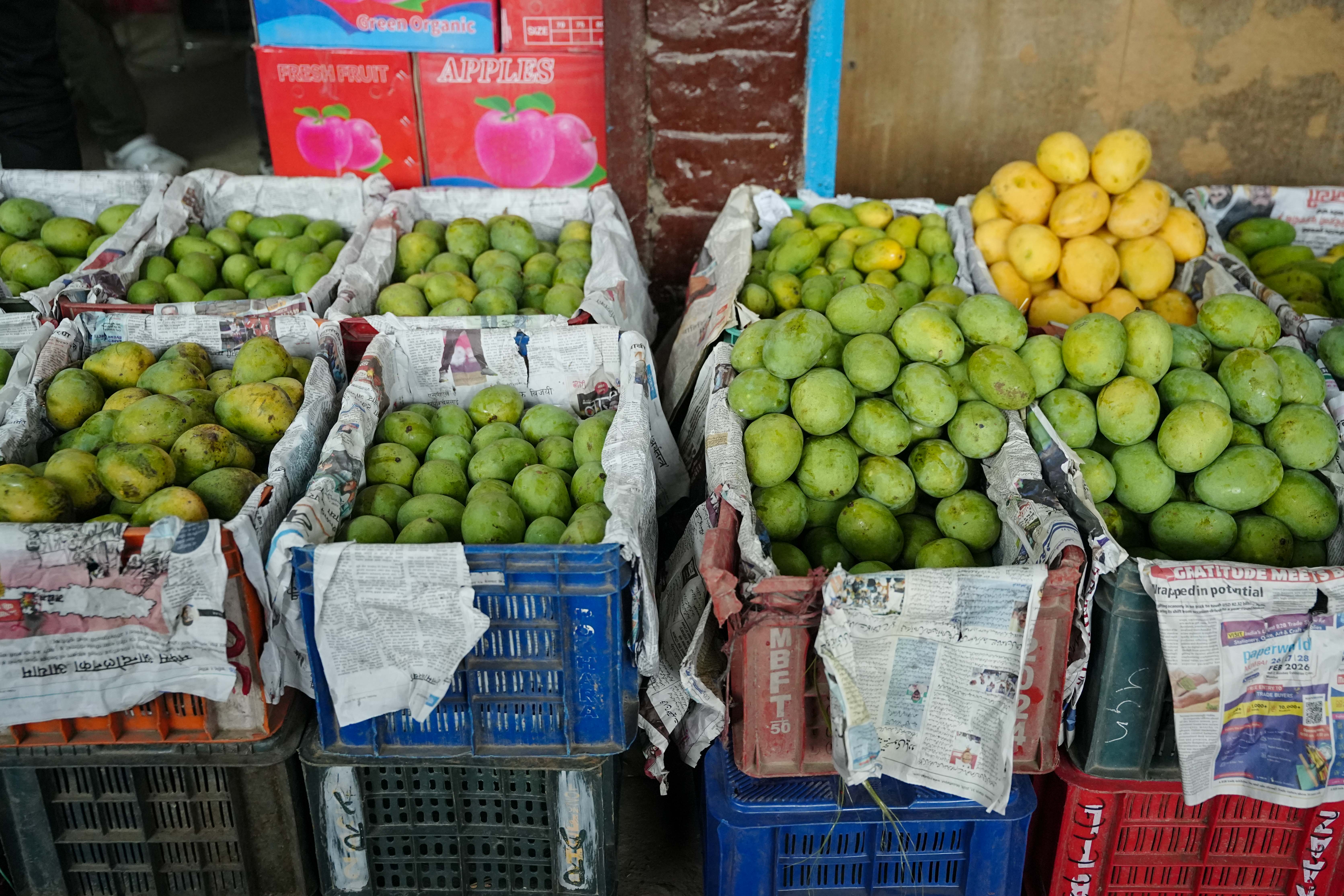 Mango_Sidhakura3-1780644863.jpg