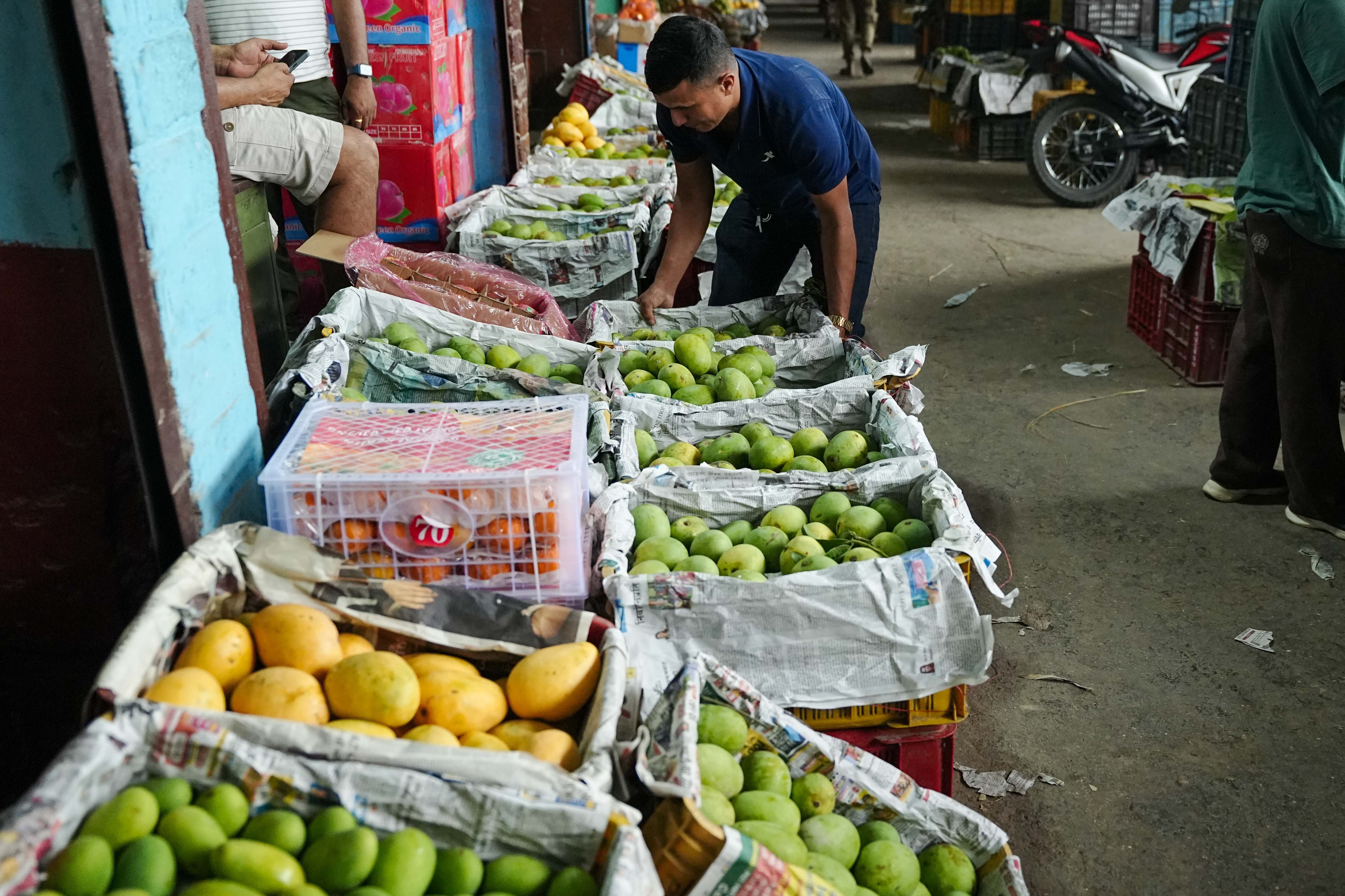 Mango_Sidhakura4-1780644869.jpg
