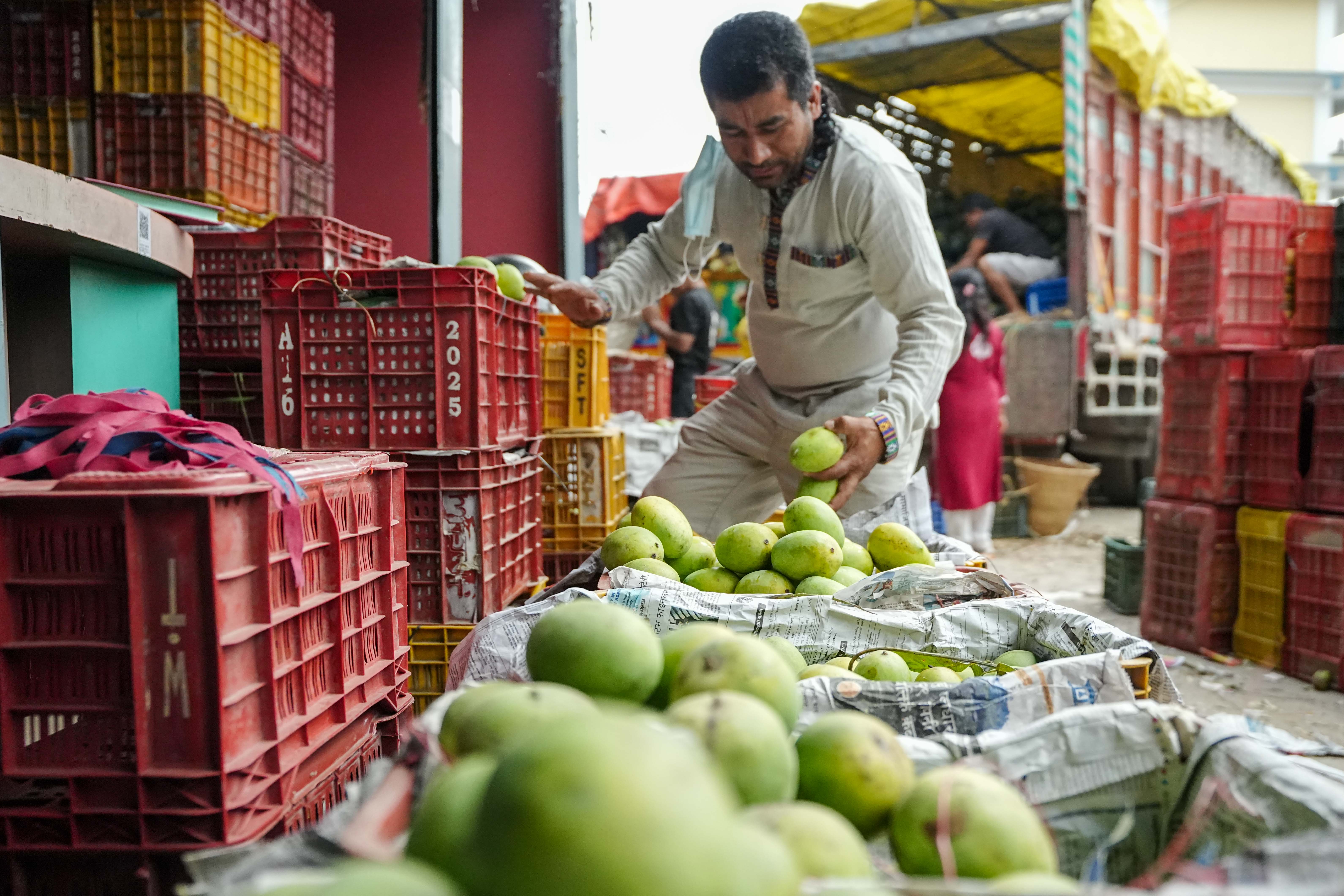 Mango_Sidhakura9-1780644880.jpg