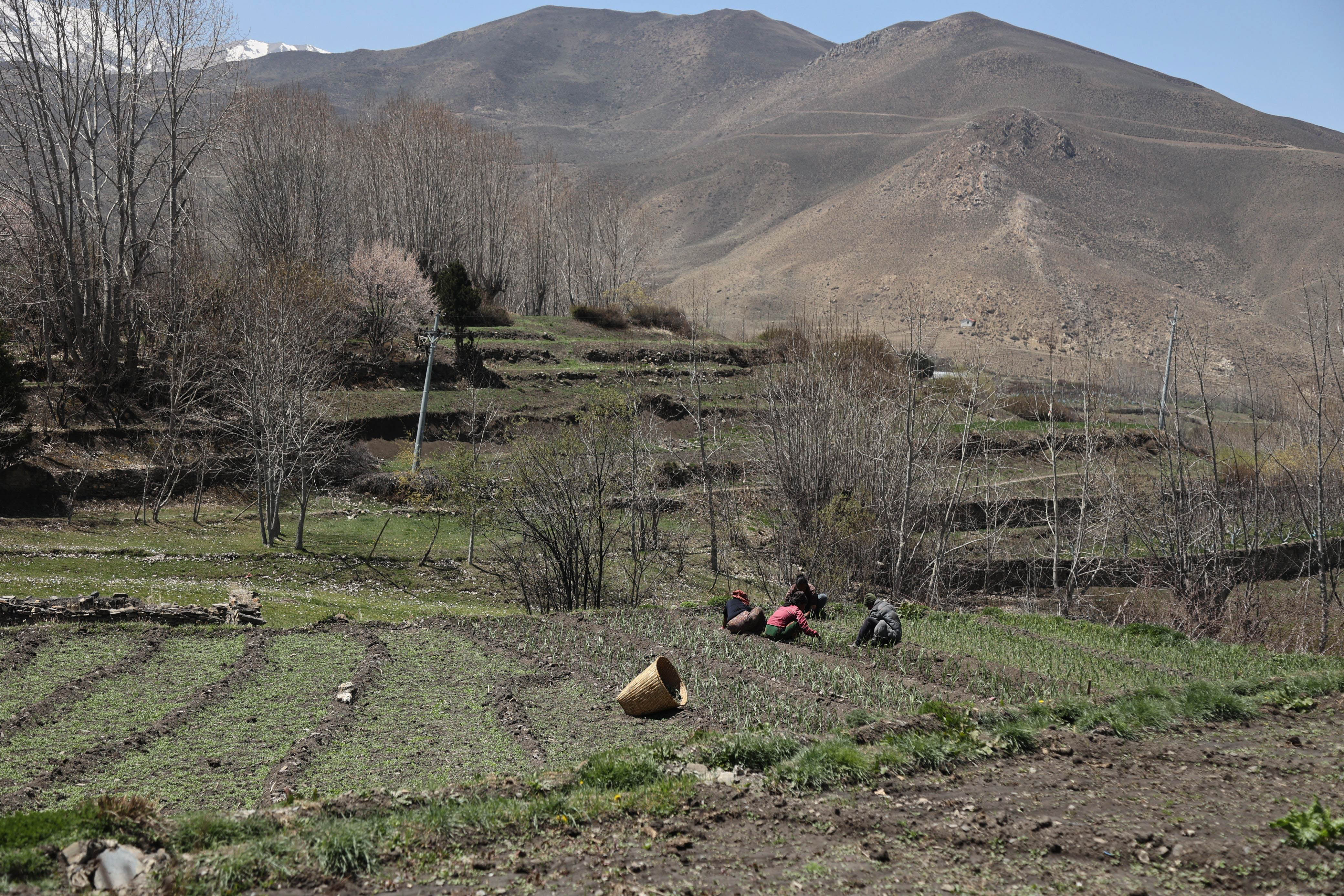 Mustang_Sidhakura--(1)-1778299959.jpg