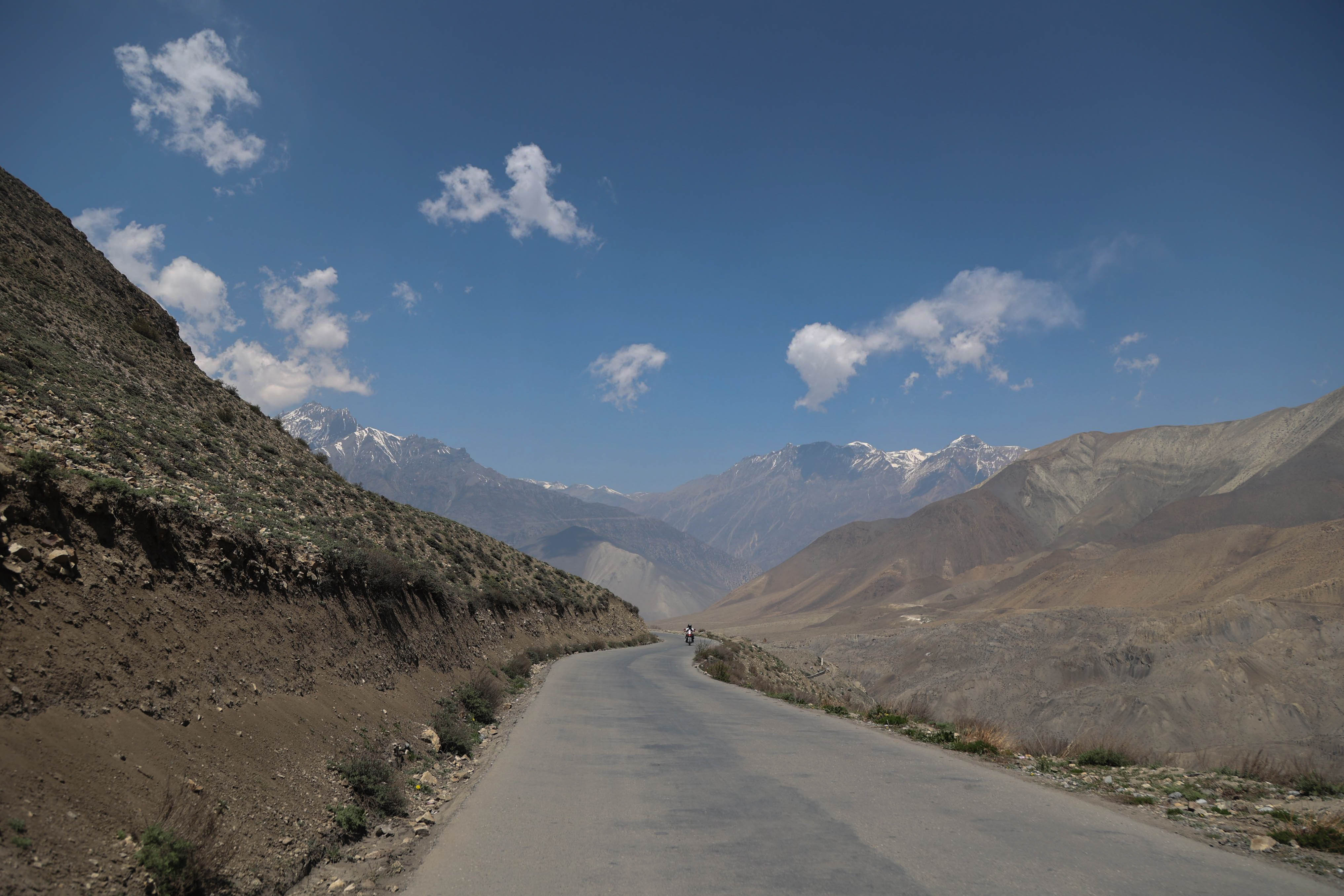 Mustang_Sidhakura--(12)-1778299903.jpg