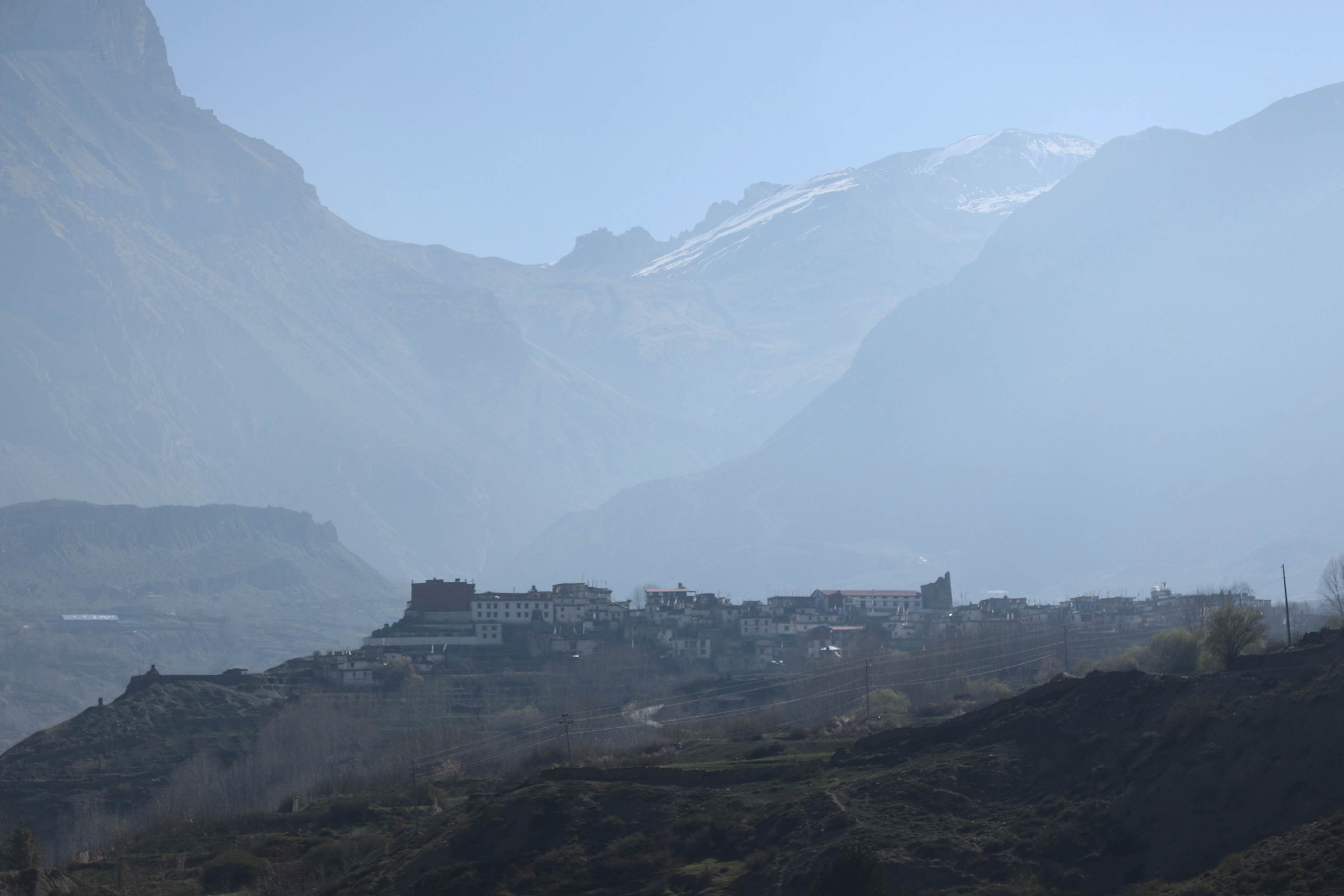 Mustang_Sidhakura--(13)-1778299905.jpg