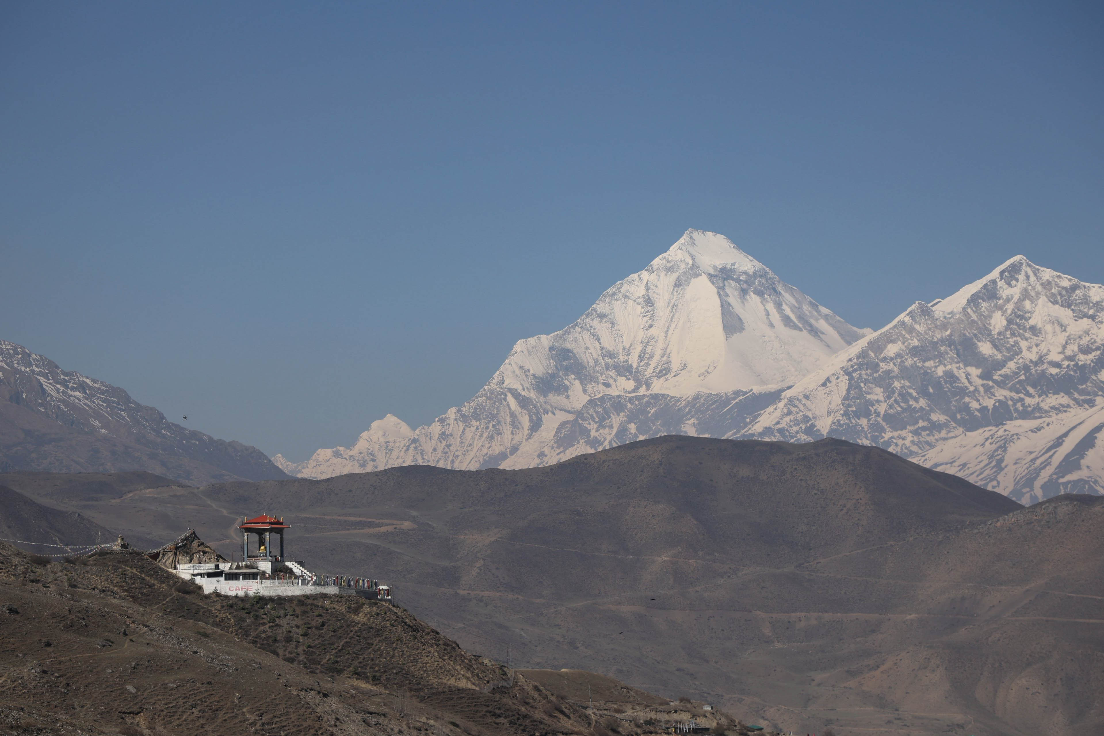 Mustang_Sidhakura--(14)-1778299923.jpg