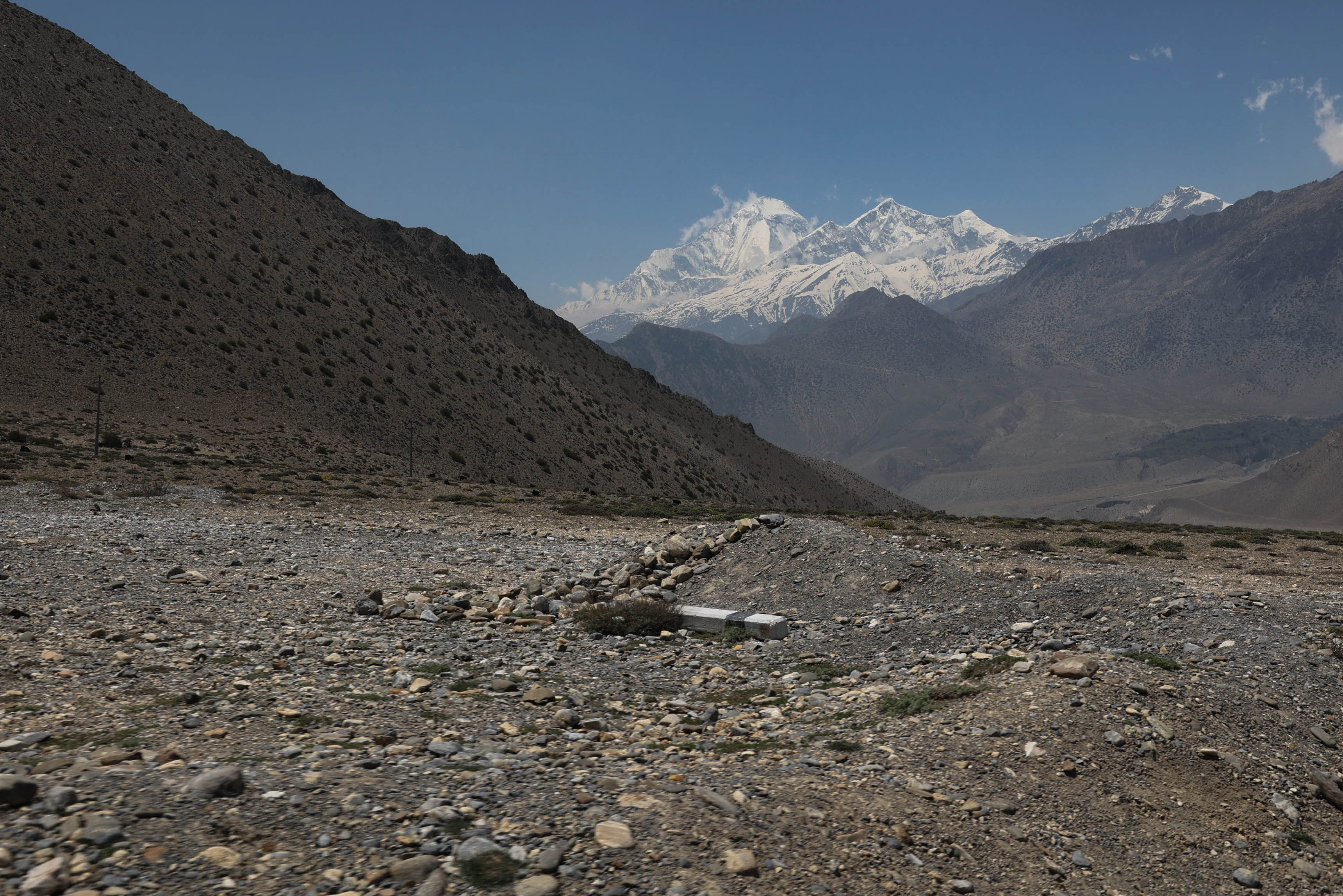 Mustang_Sidhakura--(17)-1778299946.jpg