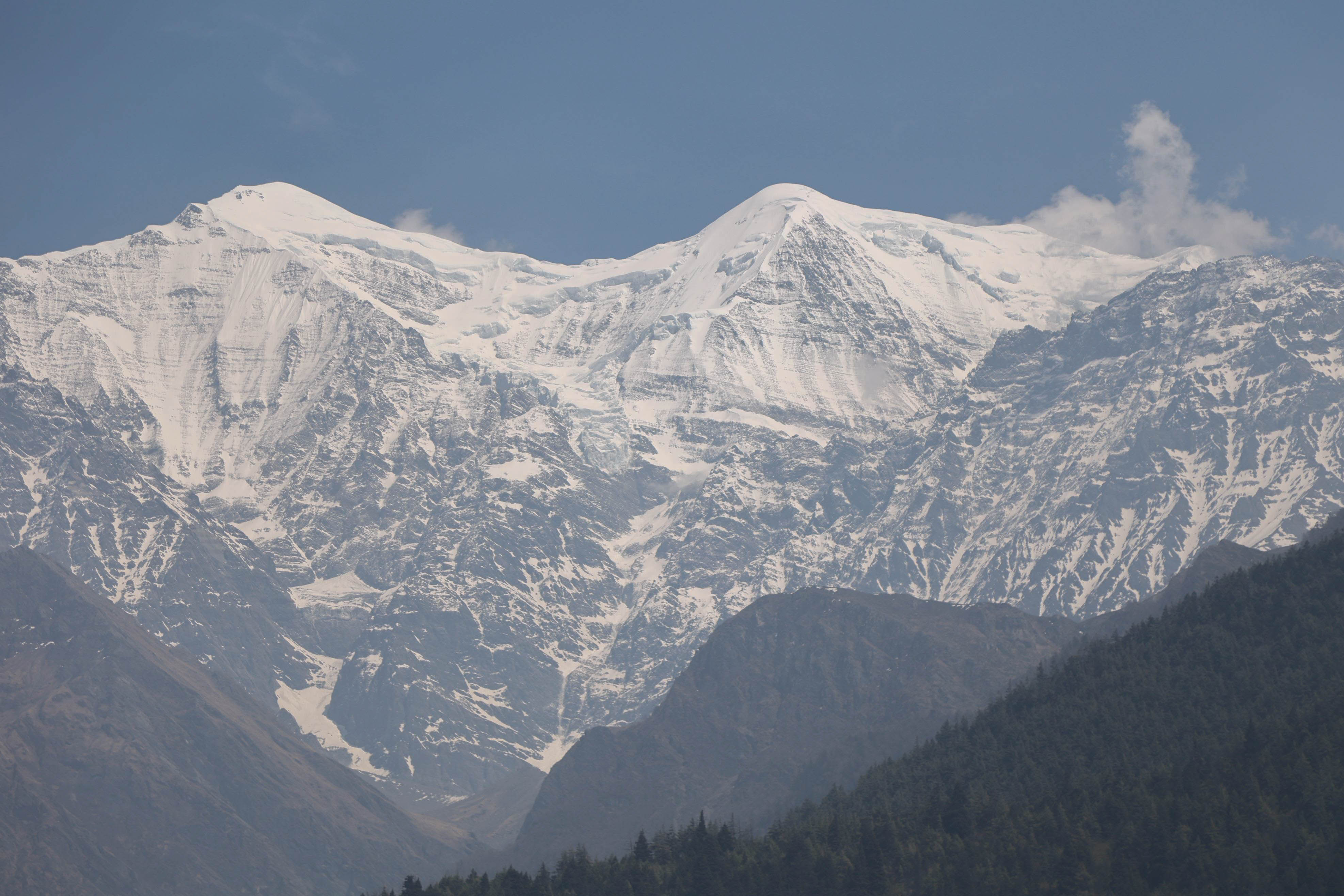 Mustang_Sidhakura--(2)-1778299961.jpg