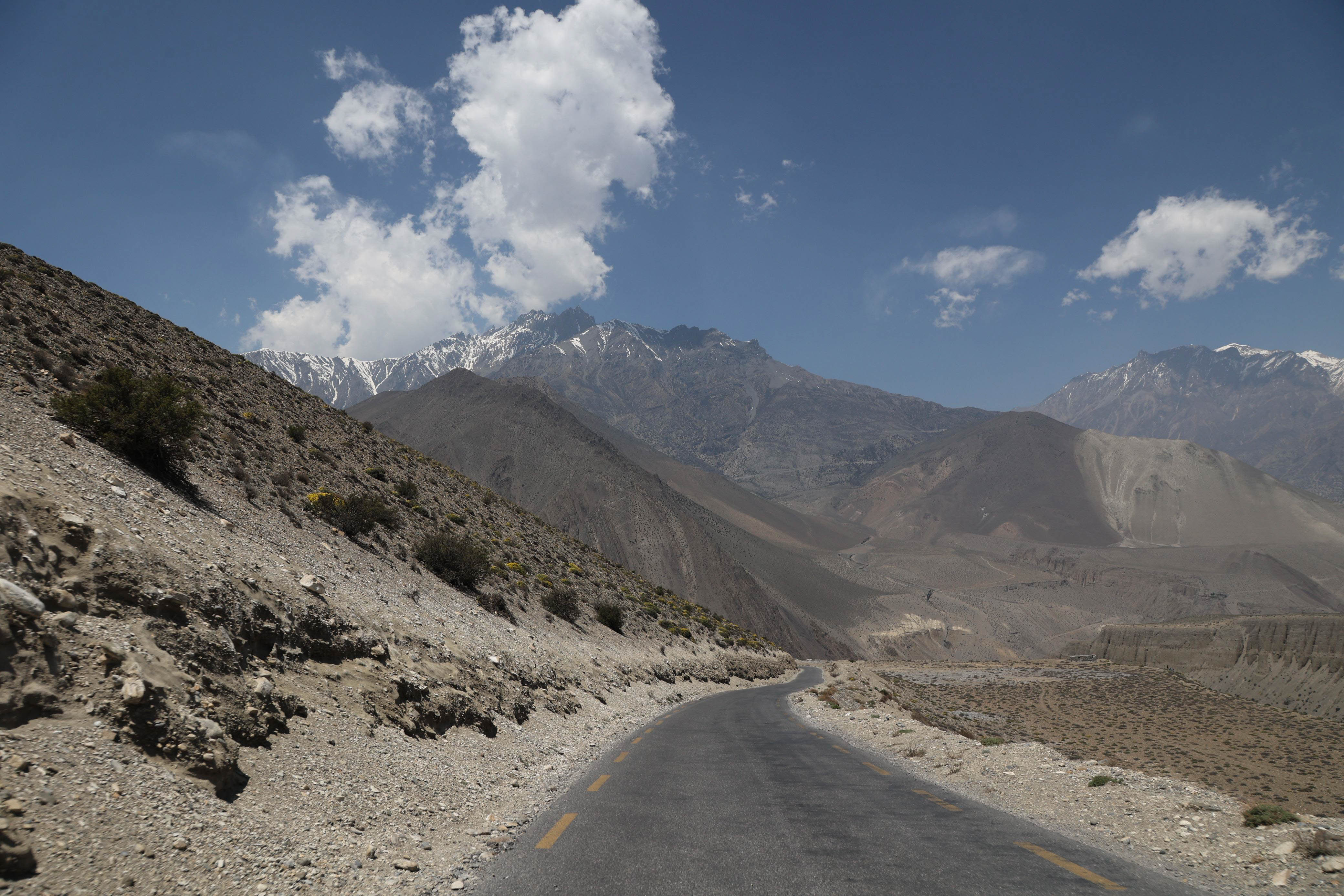 Mustang_Sidhakura--(7)-1778300005.jpg