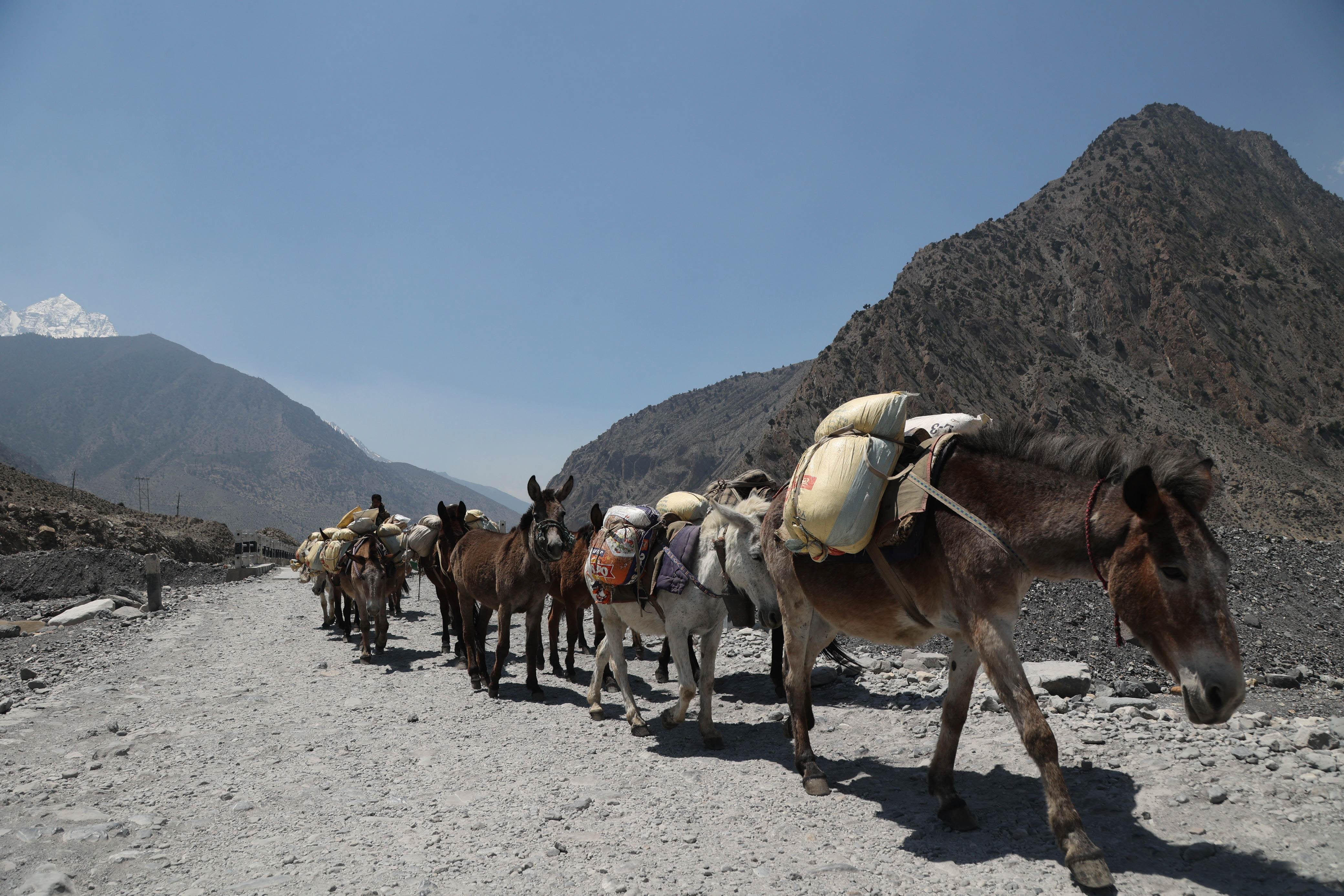 Mustang_Sidhakura--(8)-1778300006.jpg