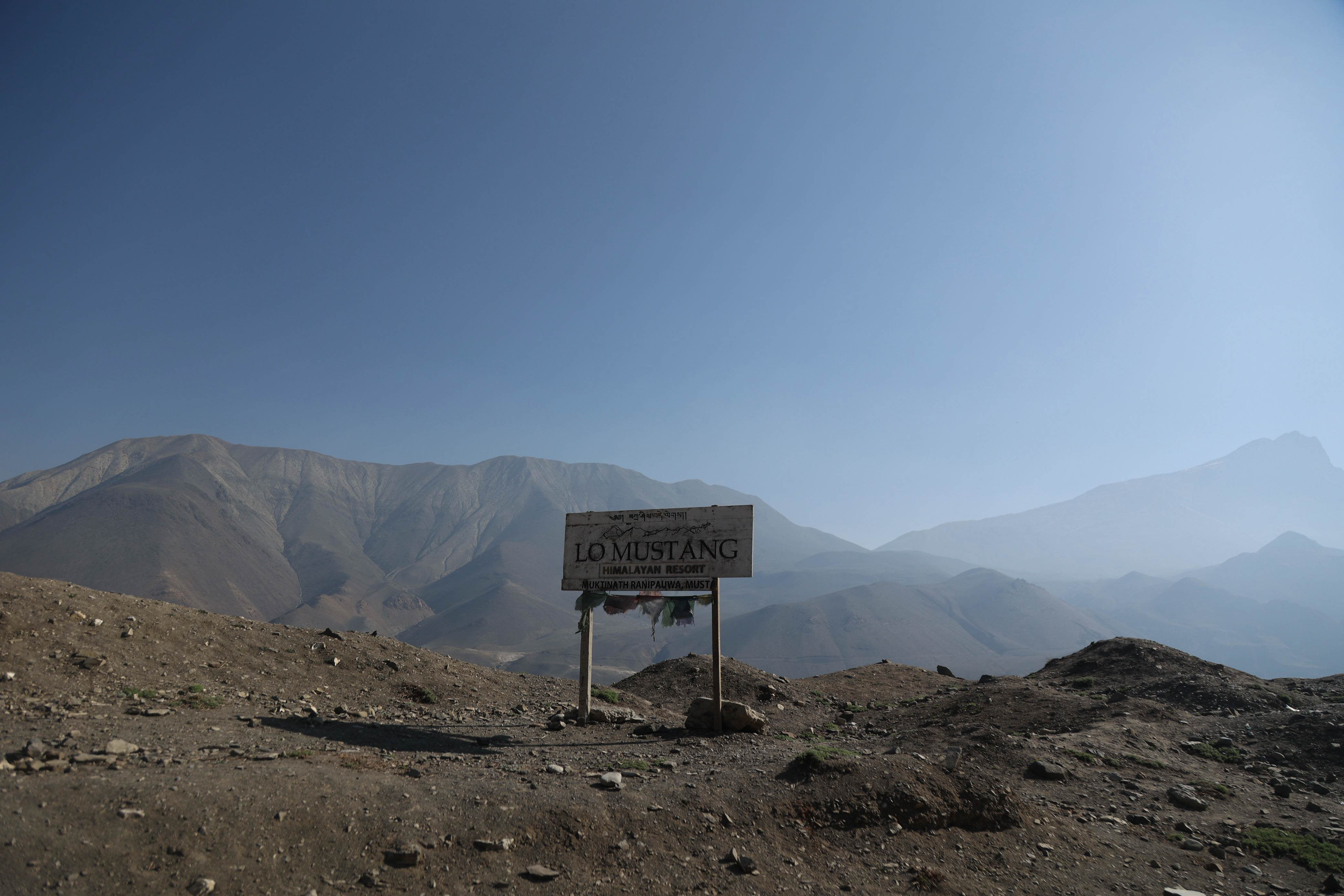 Mustang_Sidhakura--(9)-1778300010.jpg