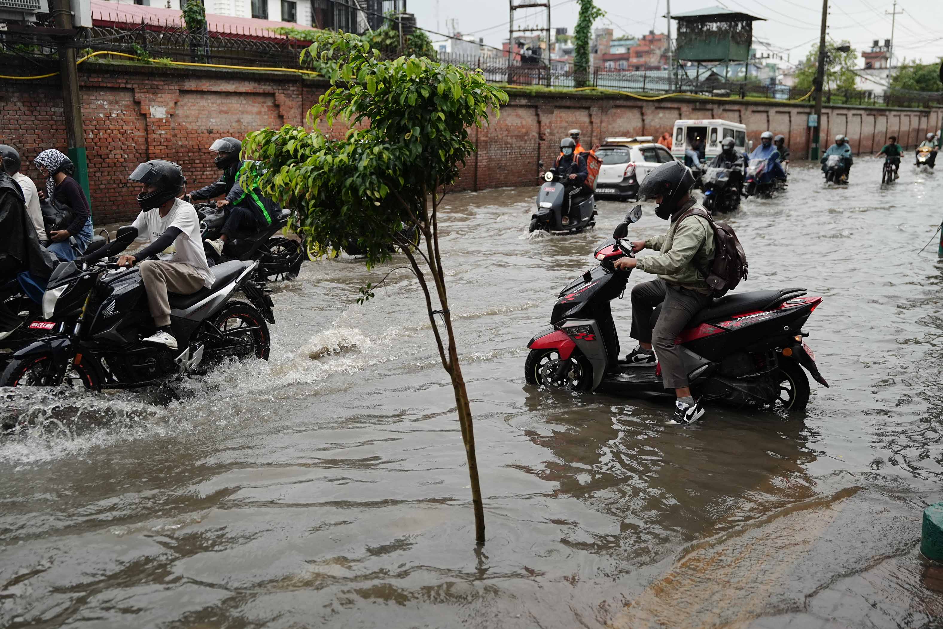Newplaza-anamnagar-road_-806-1784201076.jpg