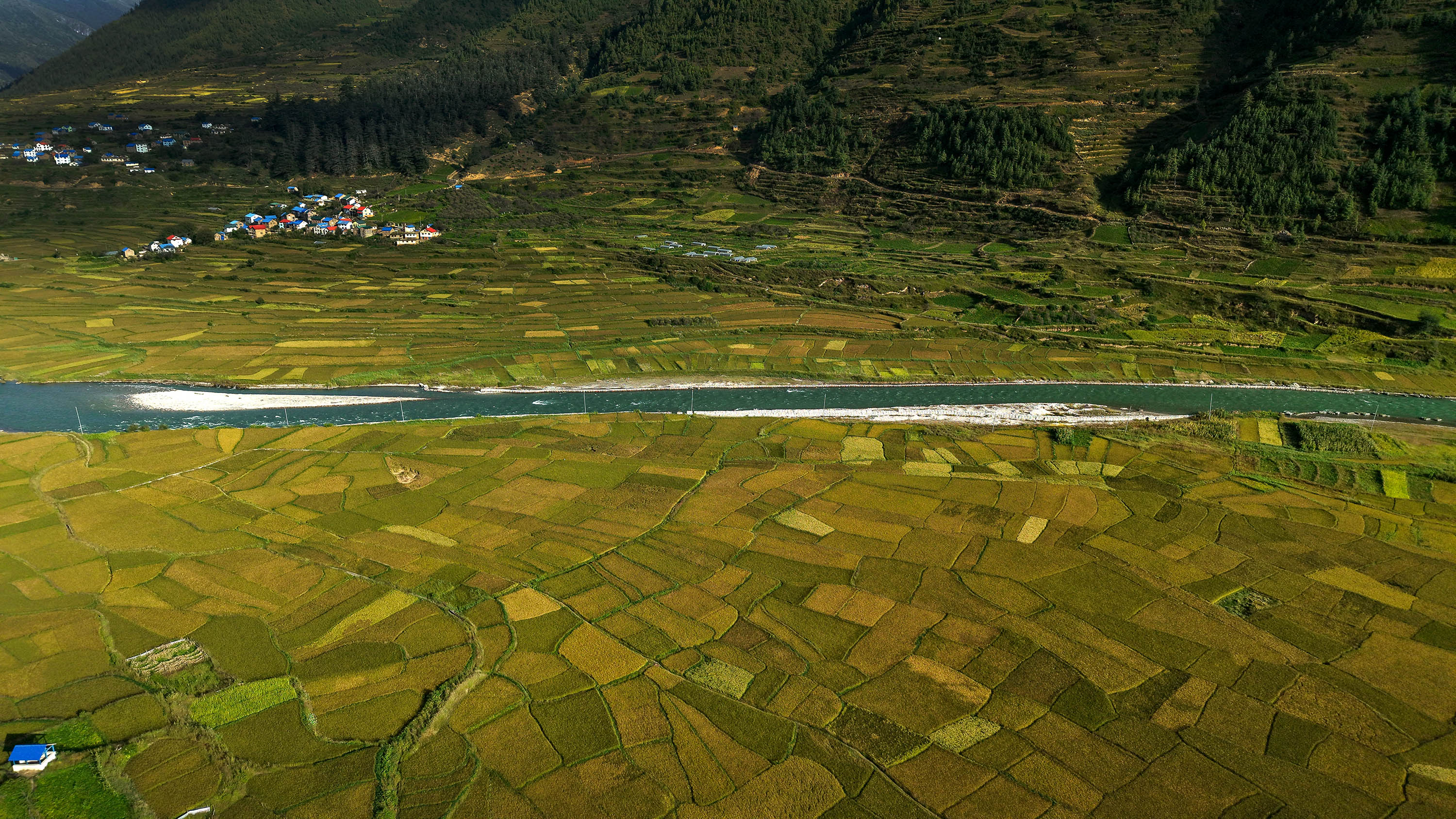 Paddy-fild_Jumla_PCT_NPL-(1)-1791005481.JPG