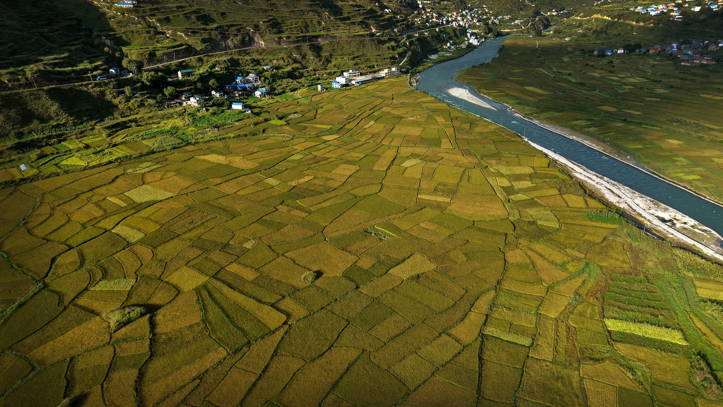 Paddy-fild_Jumla_PCT_NPL-(11)-1791005472.JPG