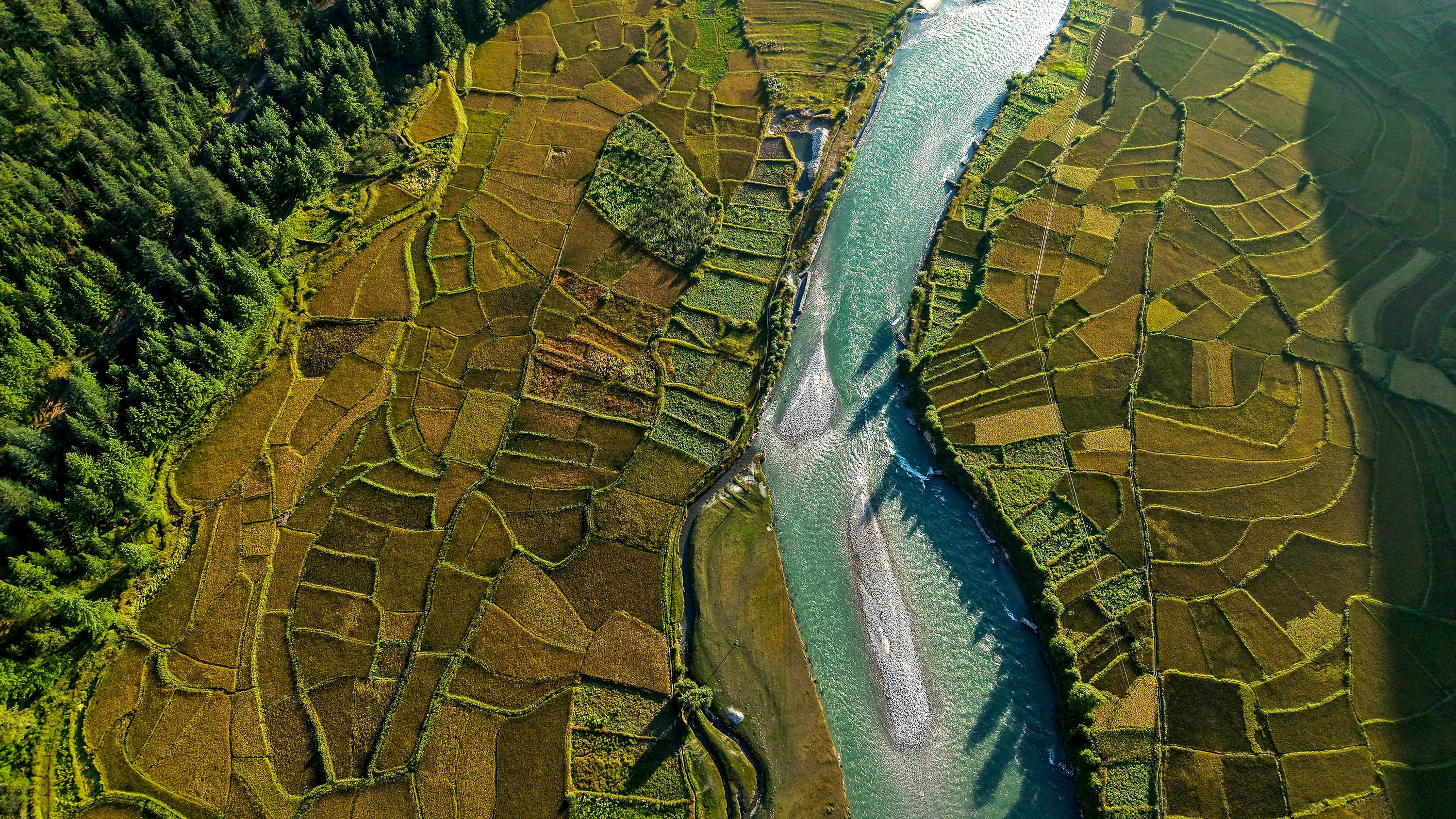 Paddy-fild_Jumla_PCT_NPL-(16)-1791005466.JPG