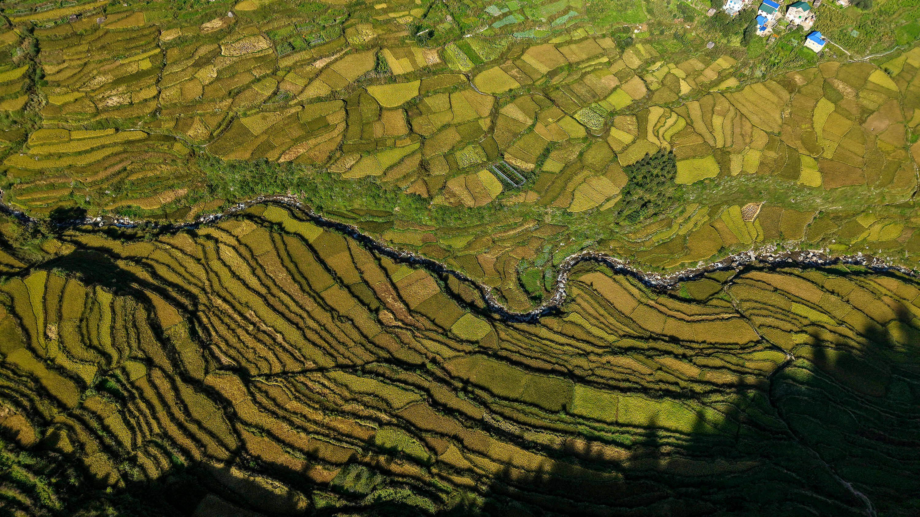 Paddy-fild_Jumla_PCT_NPL-(17)-1791005466.JPG