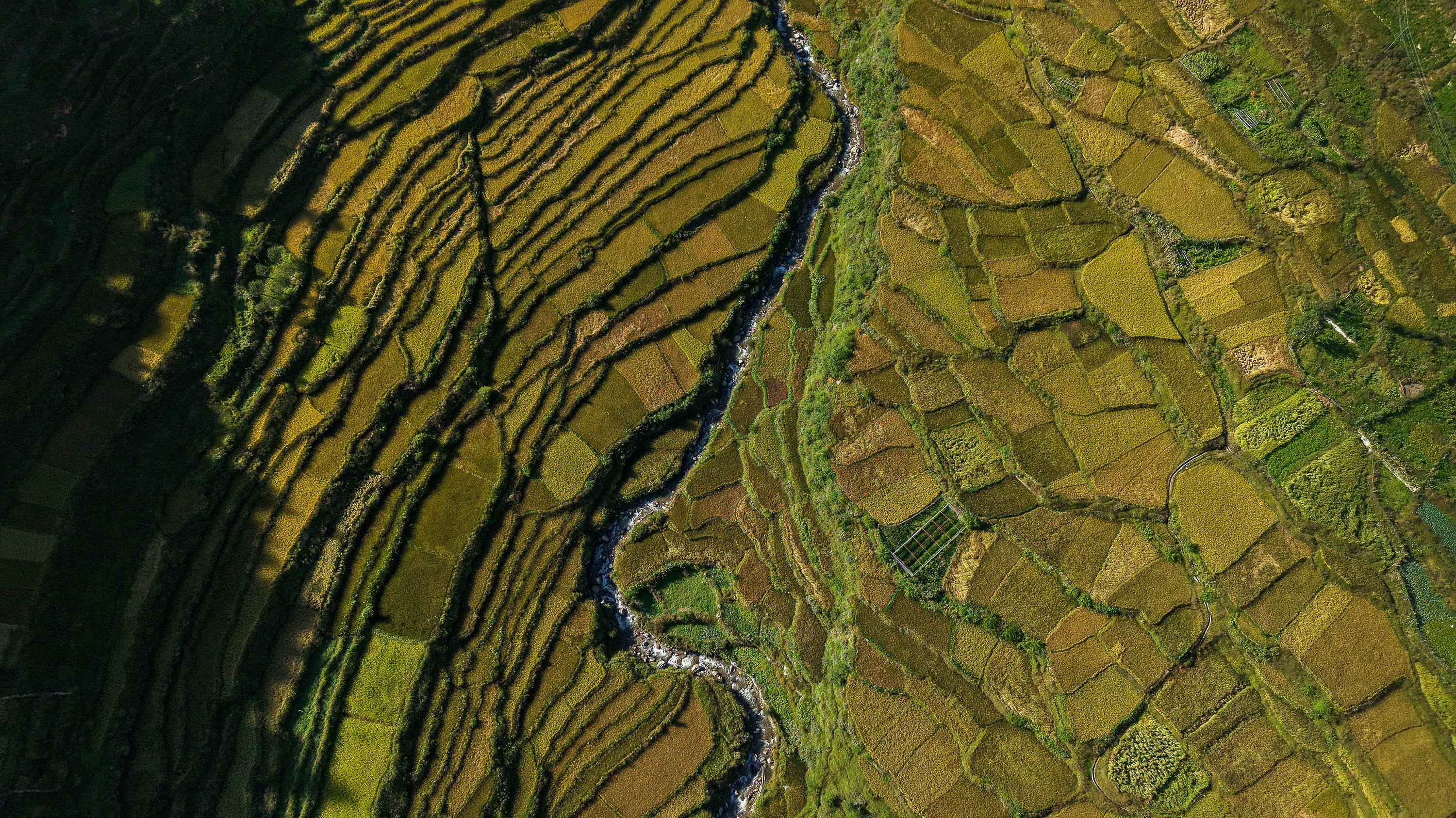 Paddy-fild_Jumla_PCT_NPL-(18)-1791005464.JPG