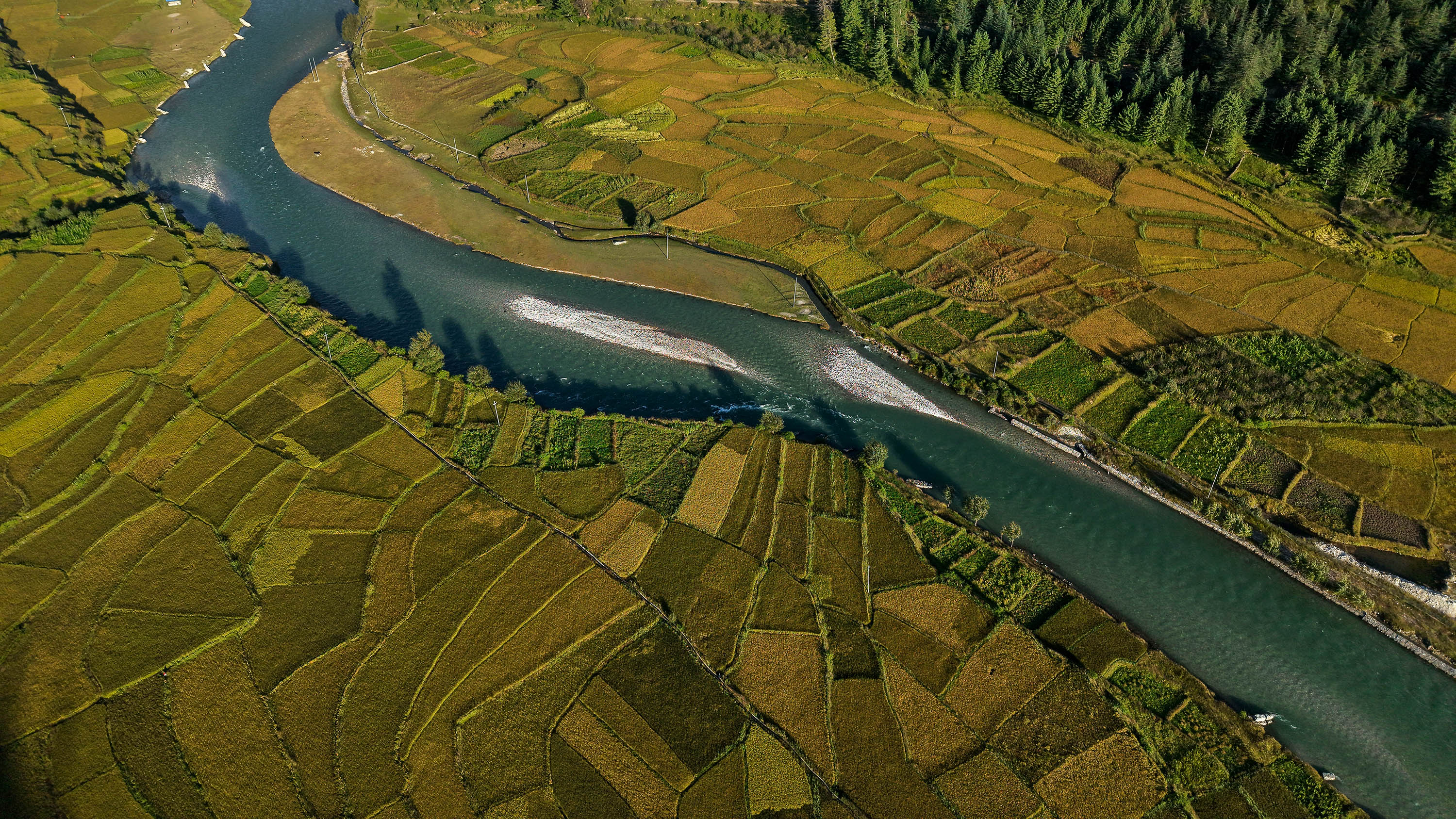 Paddy-fild_Jumla_PCT_NPL-(19)-1791005464.JPG