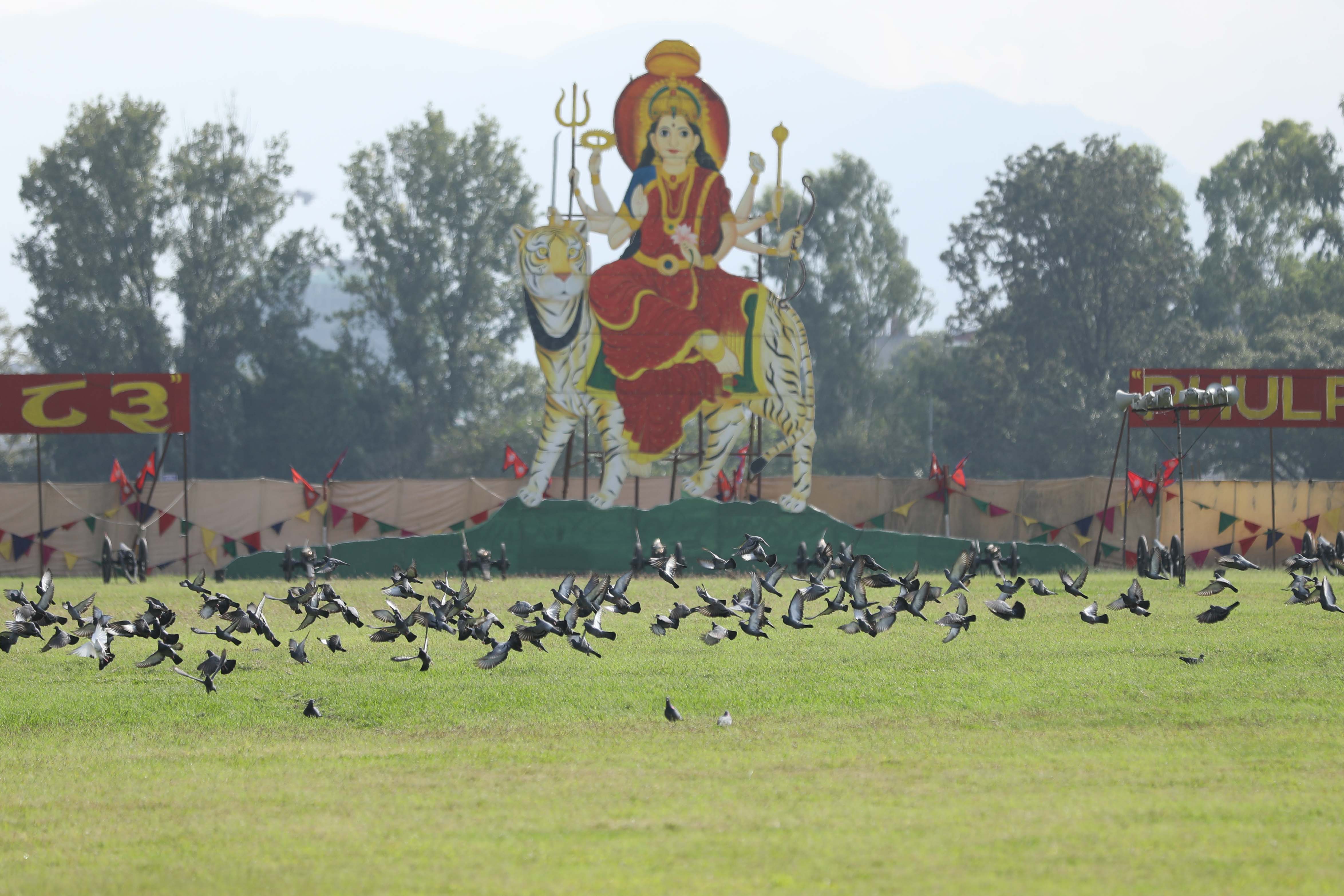 Phulpati-Badhai--2243-1792237061.jpg