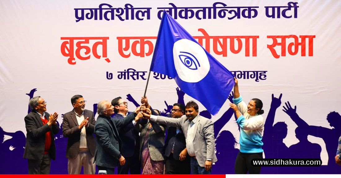 प्रगतिशील लोकतान्त्रिक पार्टी घोषणा, ७ सदस्यीय अध्यक्ष मण्डल रहने