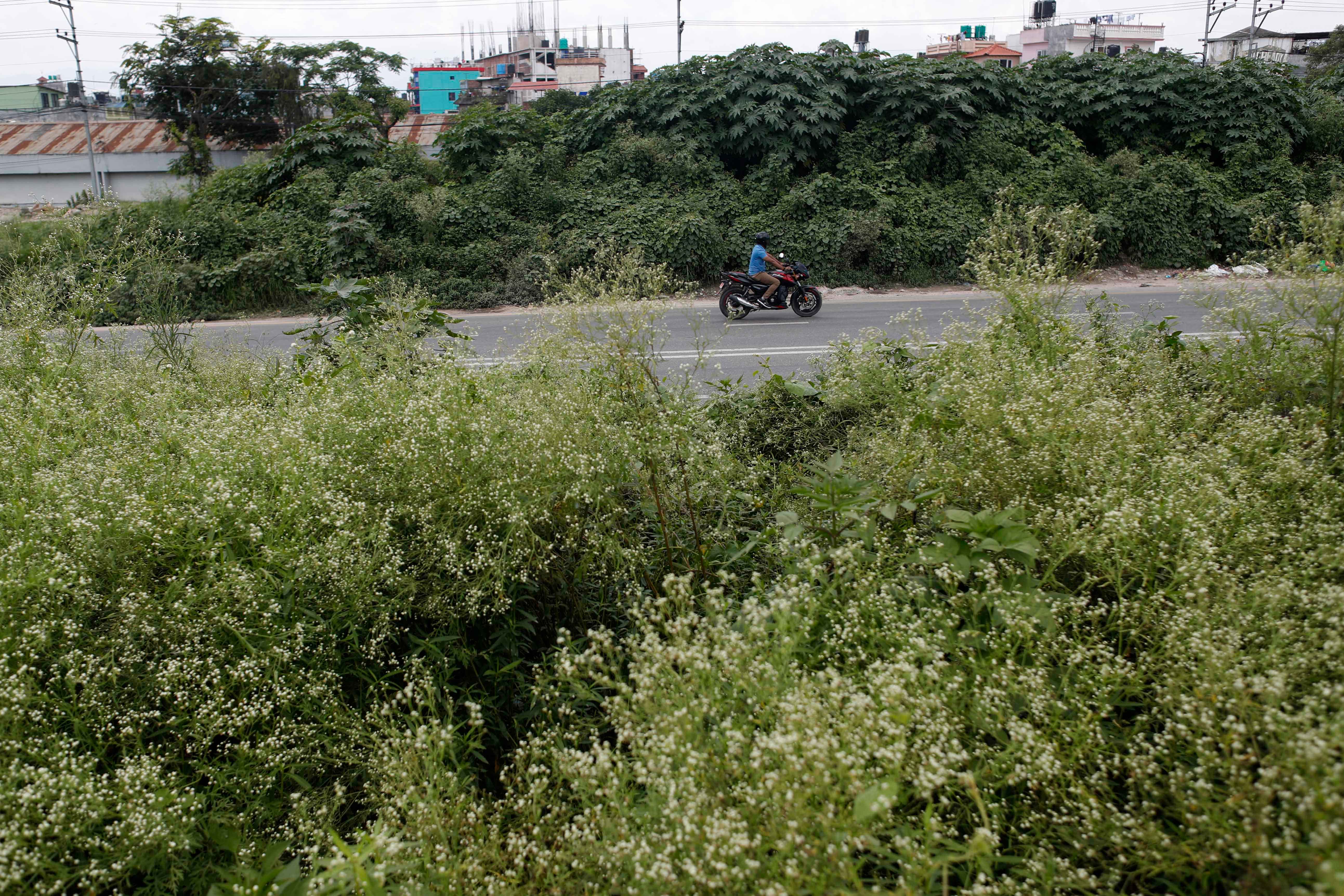 Ringroad_-1417-1752985157.jpg