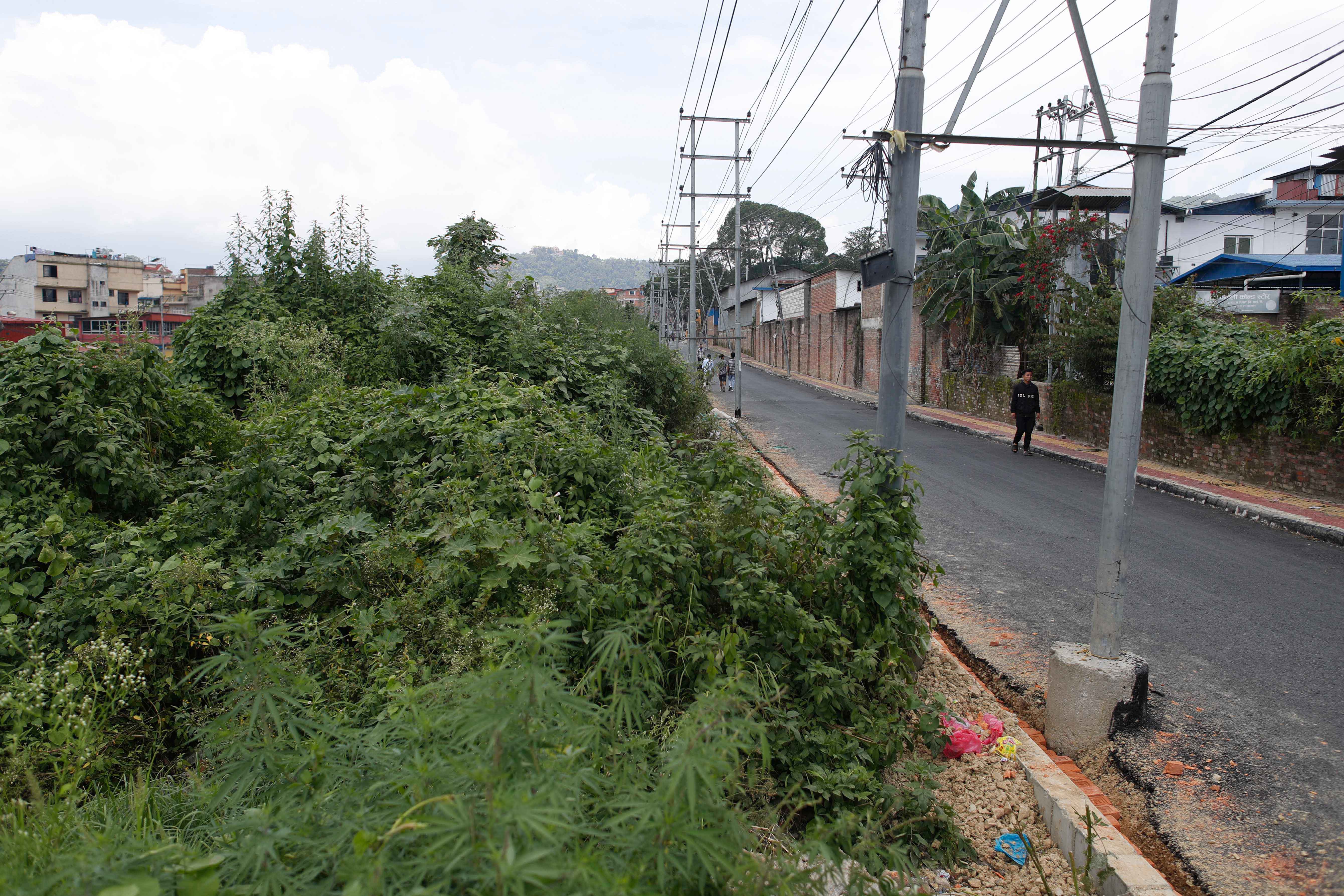 Ringroad_-1426-1752985152.jpg