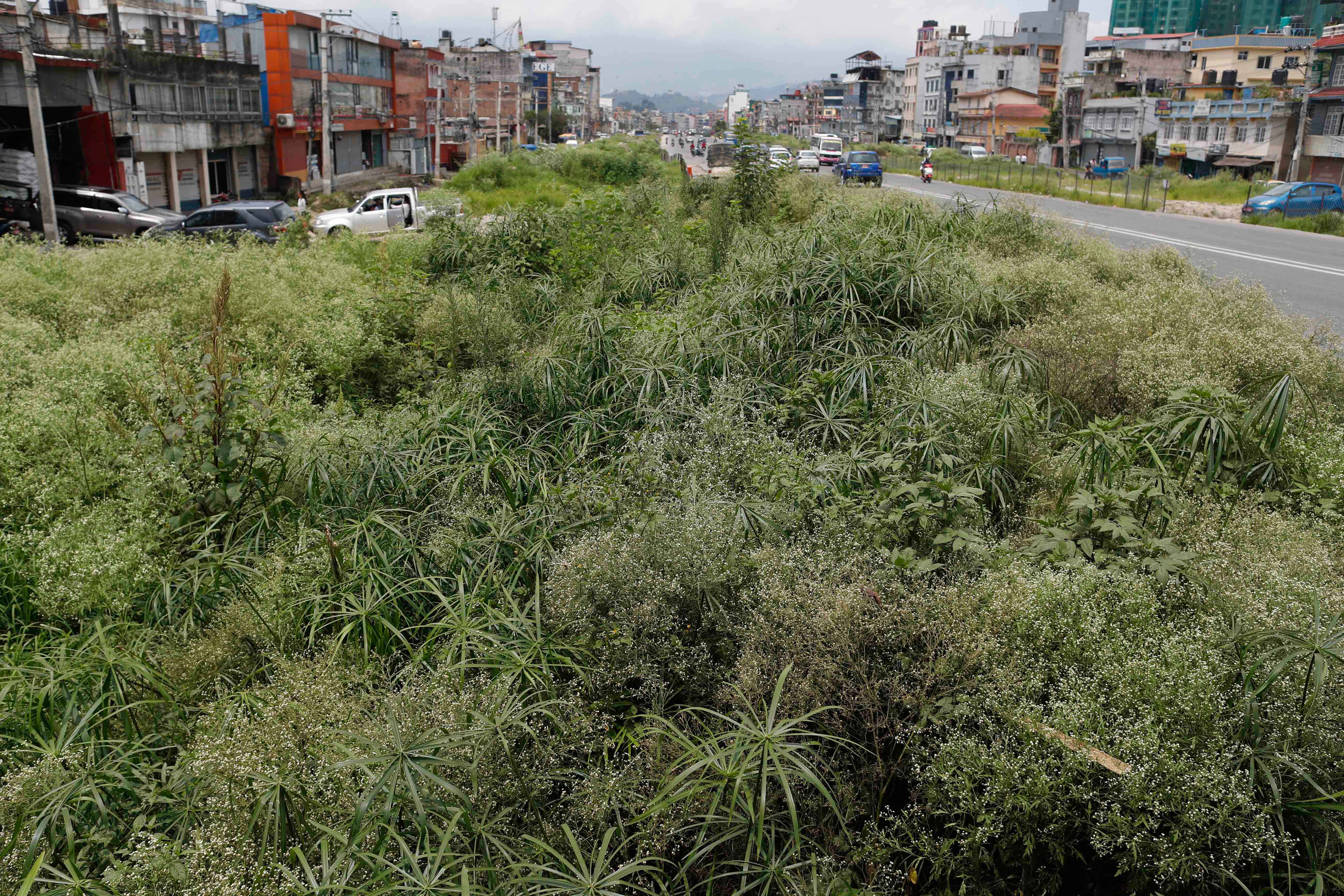 Ringroad_-1428-1752985148.jpg