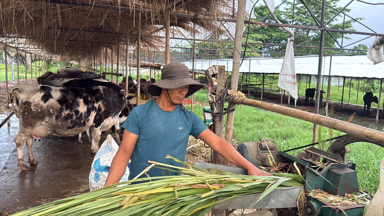 वार्षिक ७० लाखसम्म कमाउँछन् कोरियाबाट फर्केका यी सन्देश नेम्बाङ