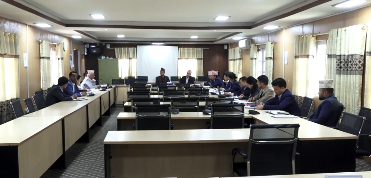 सांसदलाई कूटनीतिक राहदानी उपलब्ध गराउन कानुन परिमार्जन गर्ने तयारी