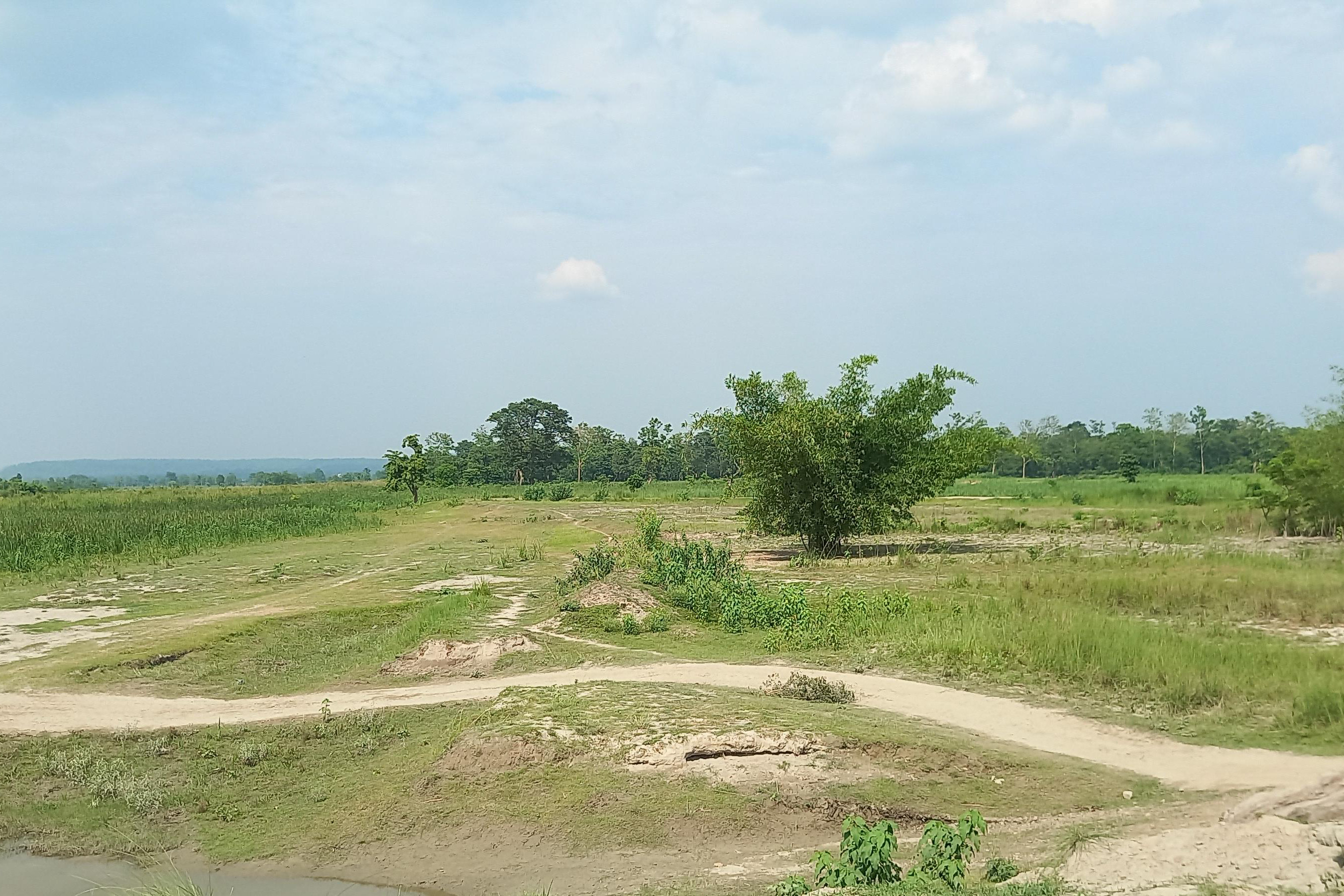 Susta_-1372-1780379618.jpg